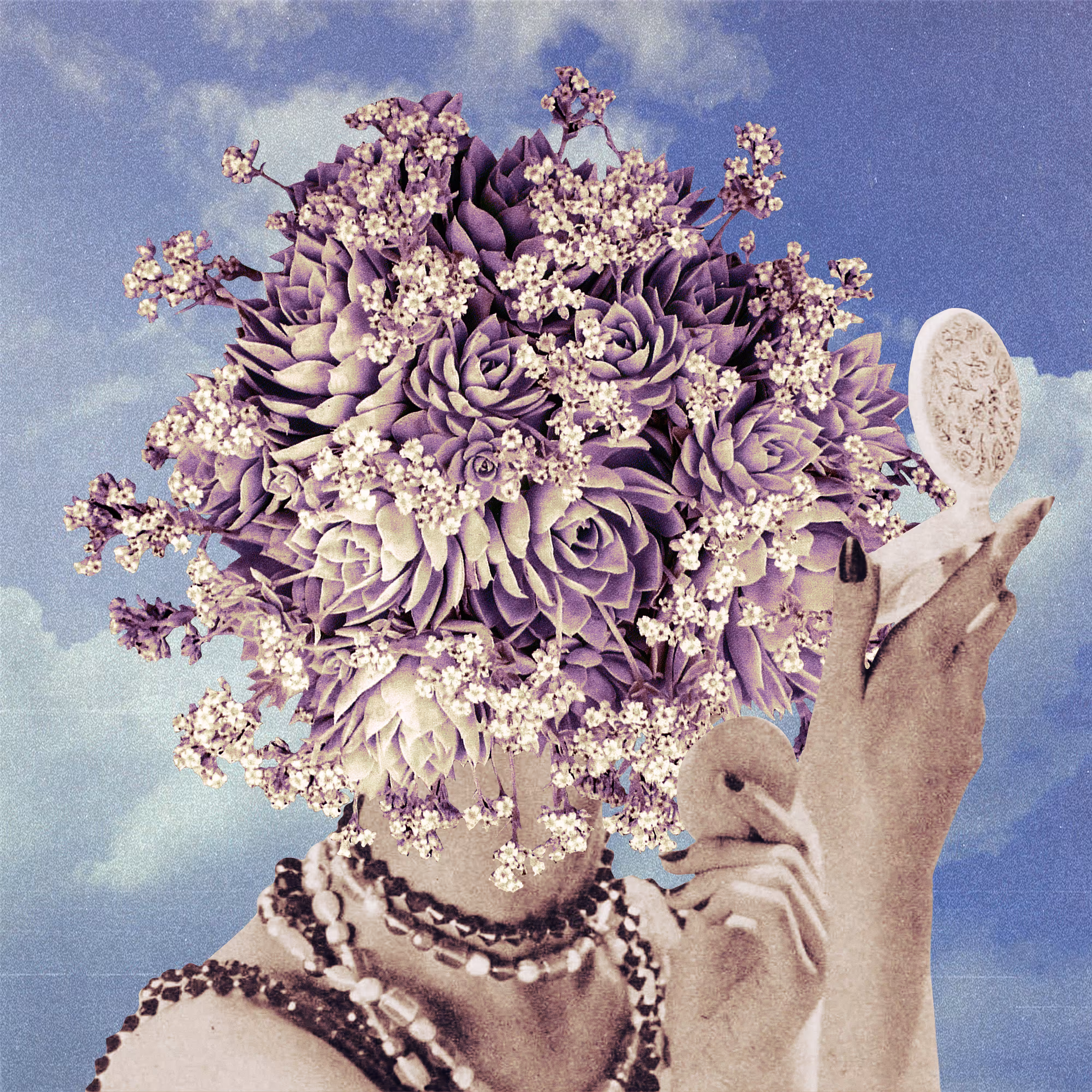 Bloom II