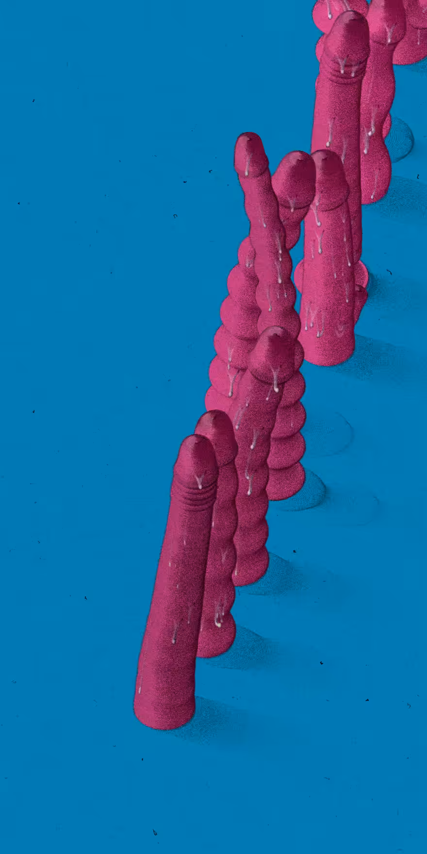Shape Study  #91