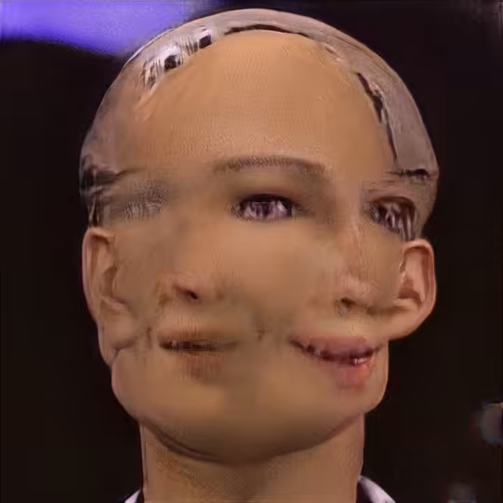  “SOPHIA”