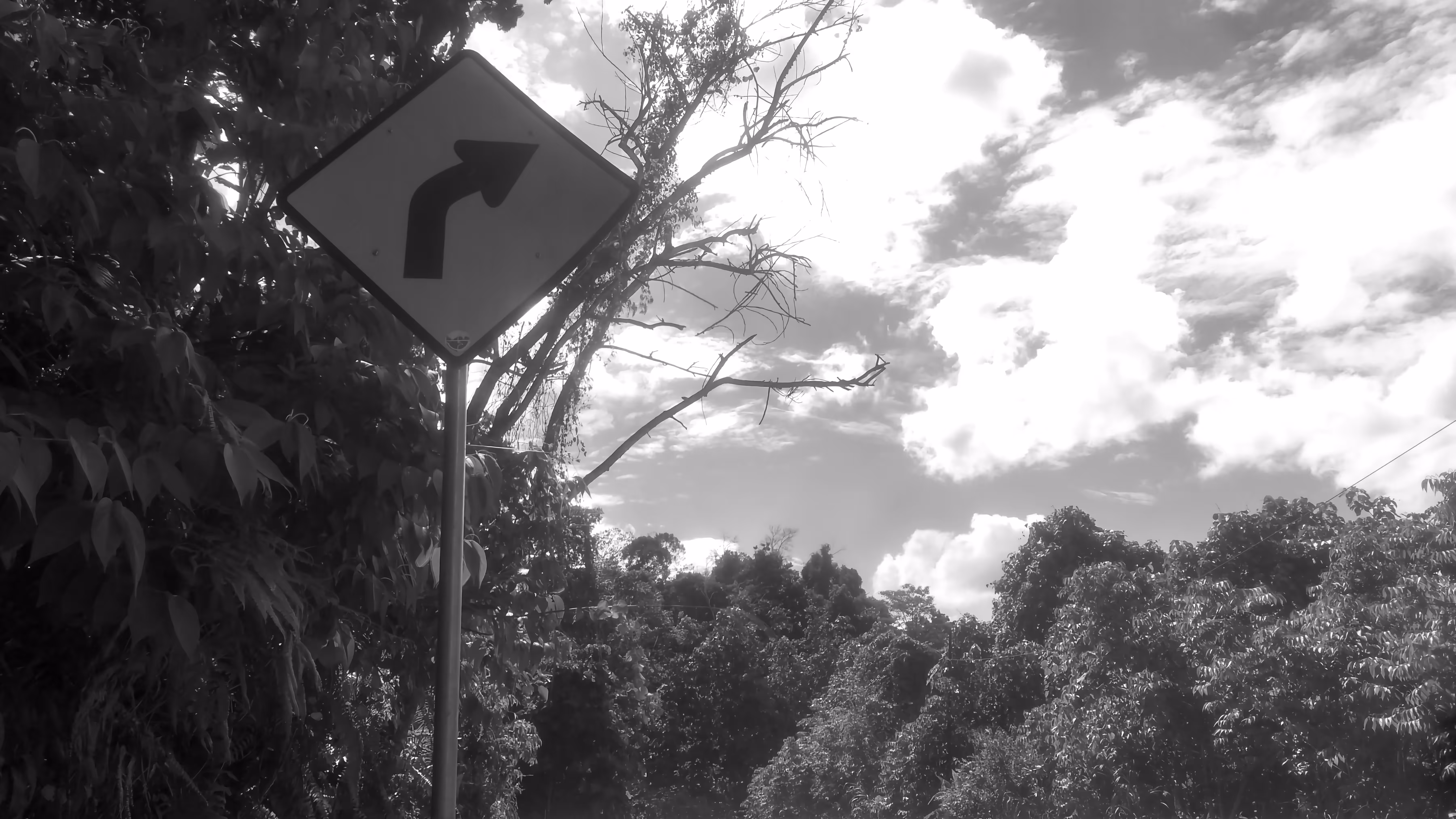 Don't go the wrong way!