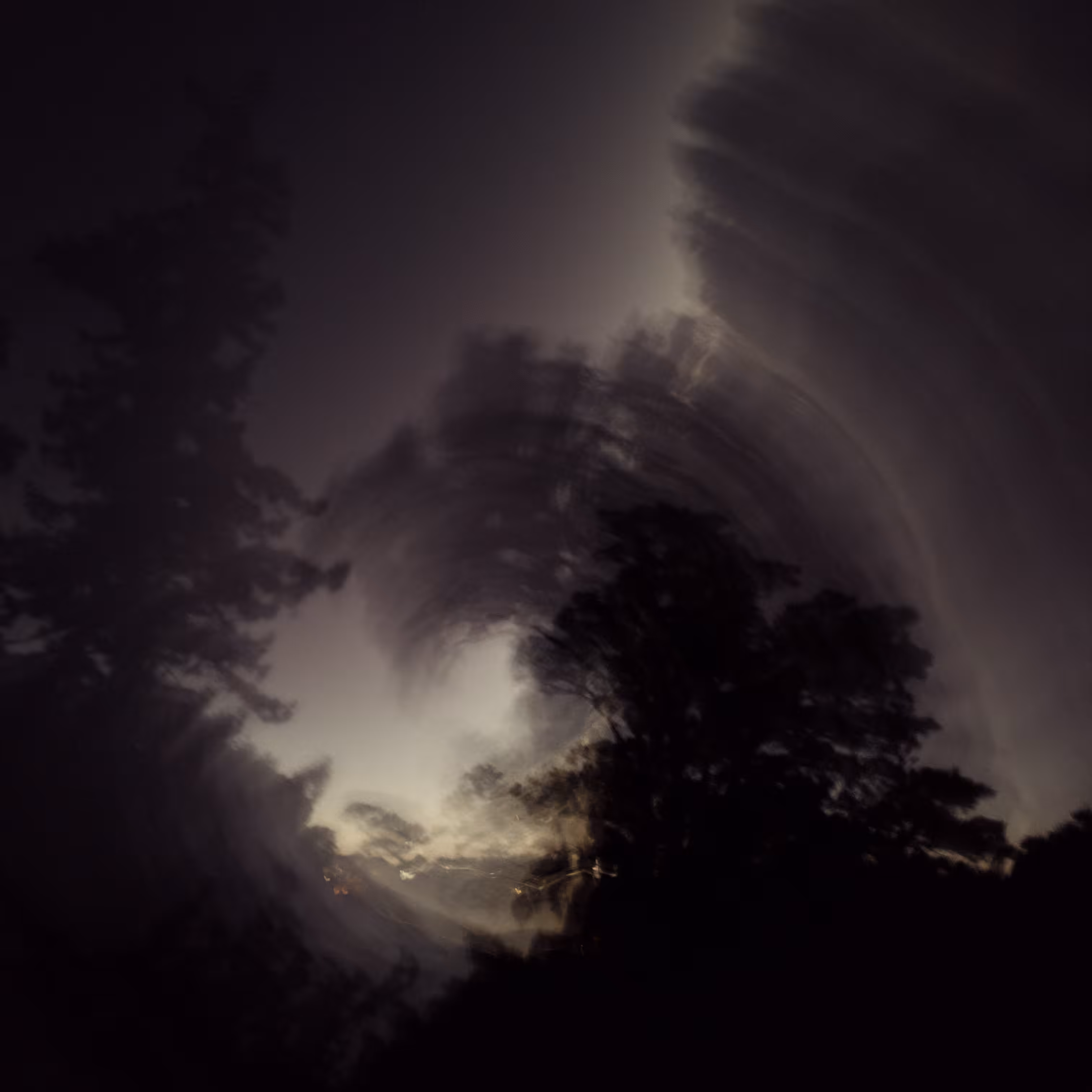 Night Twist