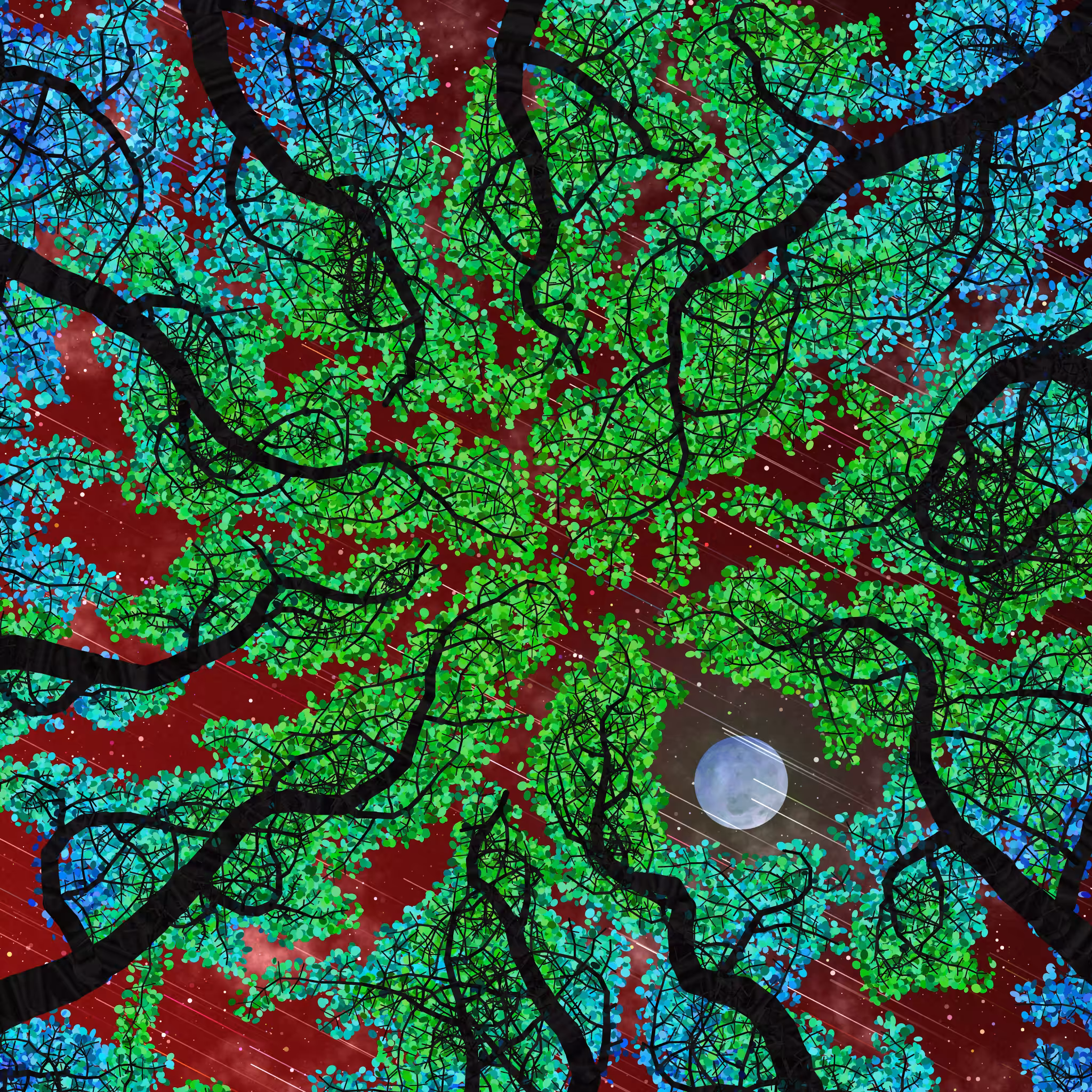 Tree Skyness #232