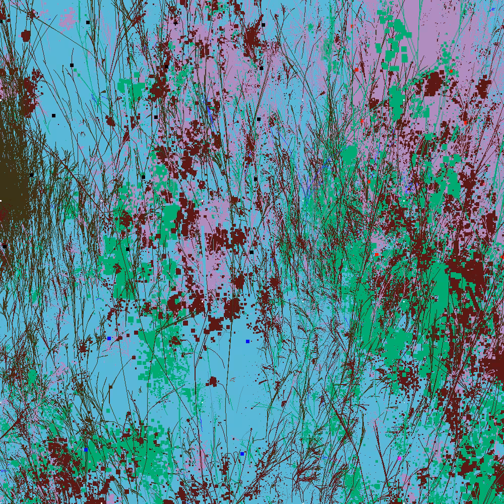Infinite Garden: 40907 Flowers