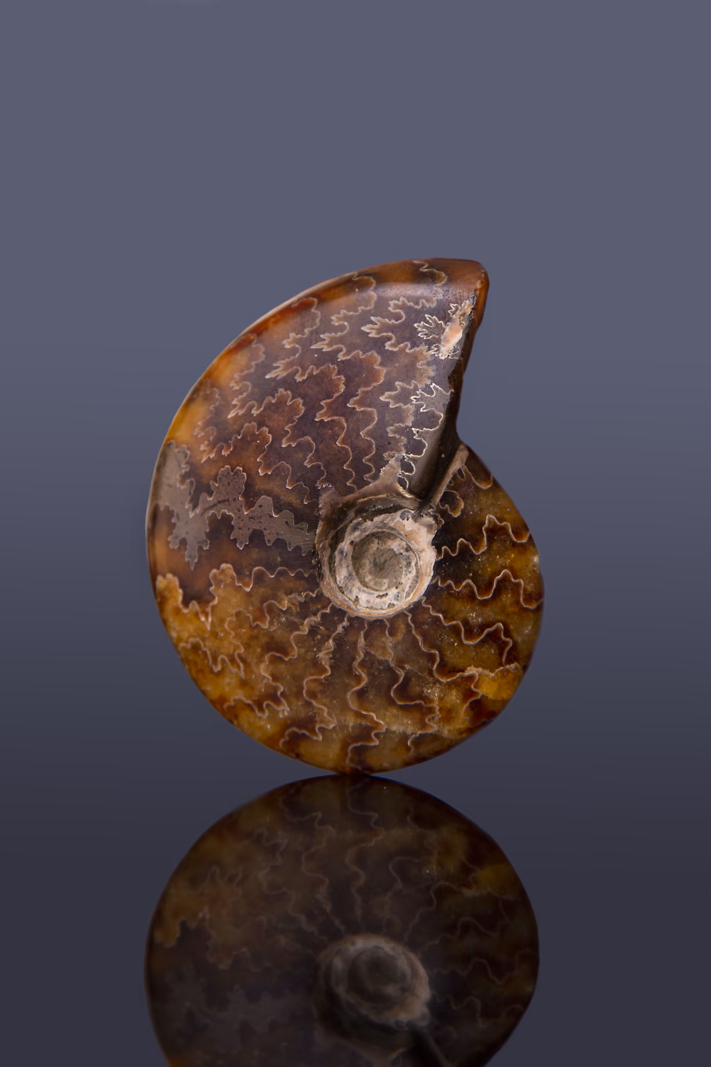 Inside of Stones: #33