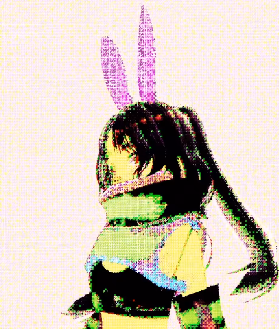 Bunny Zone