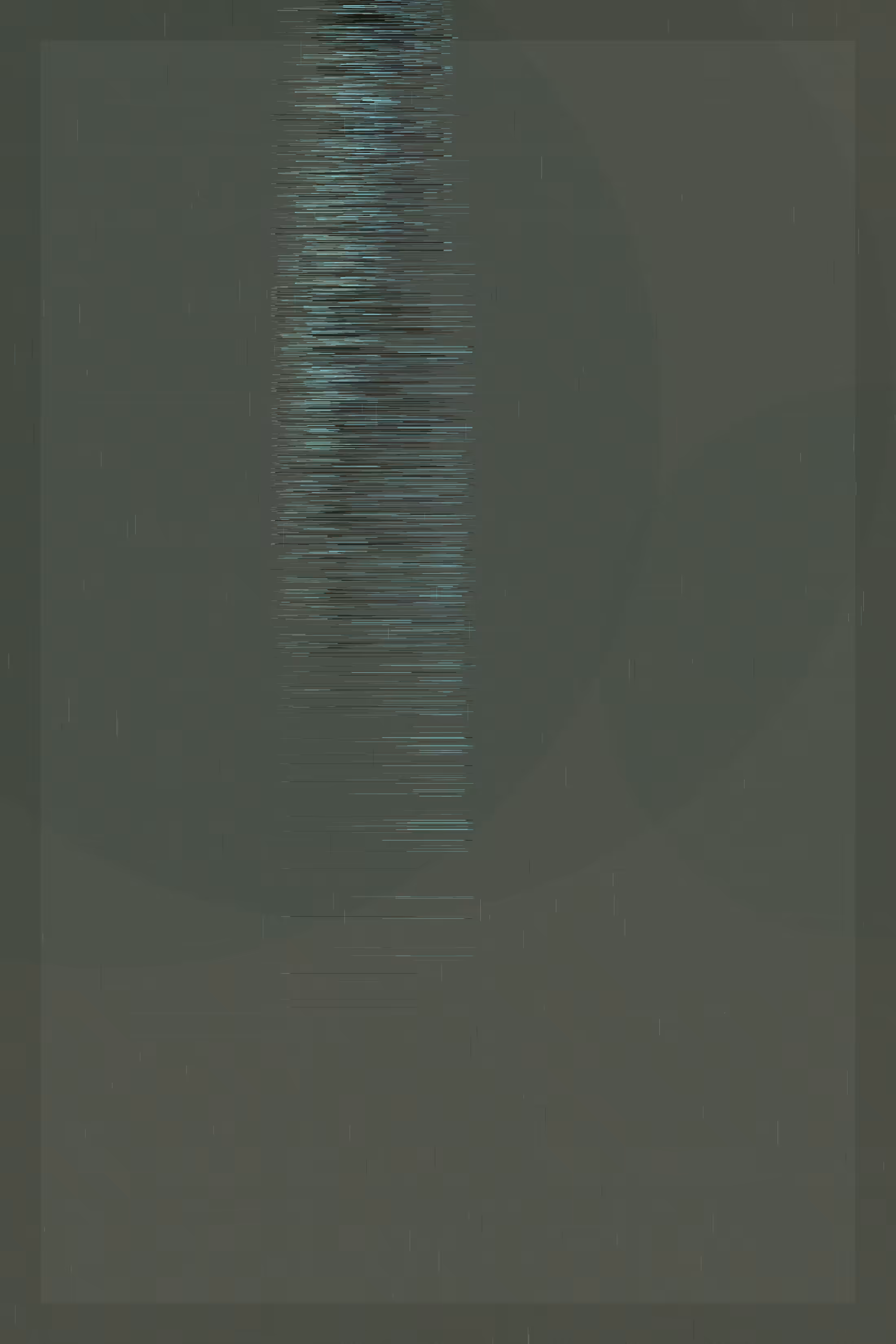 Apertum #52