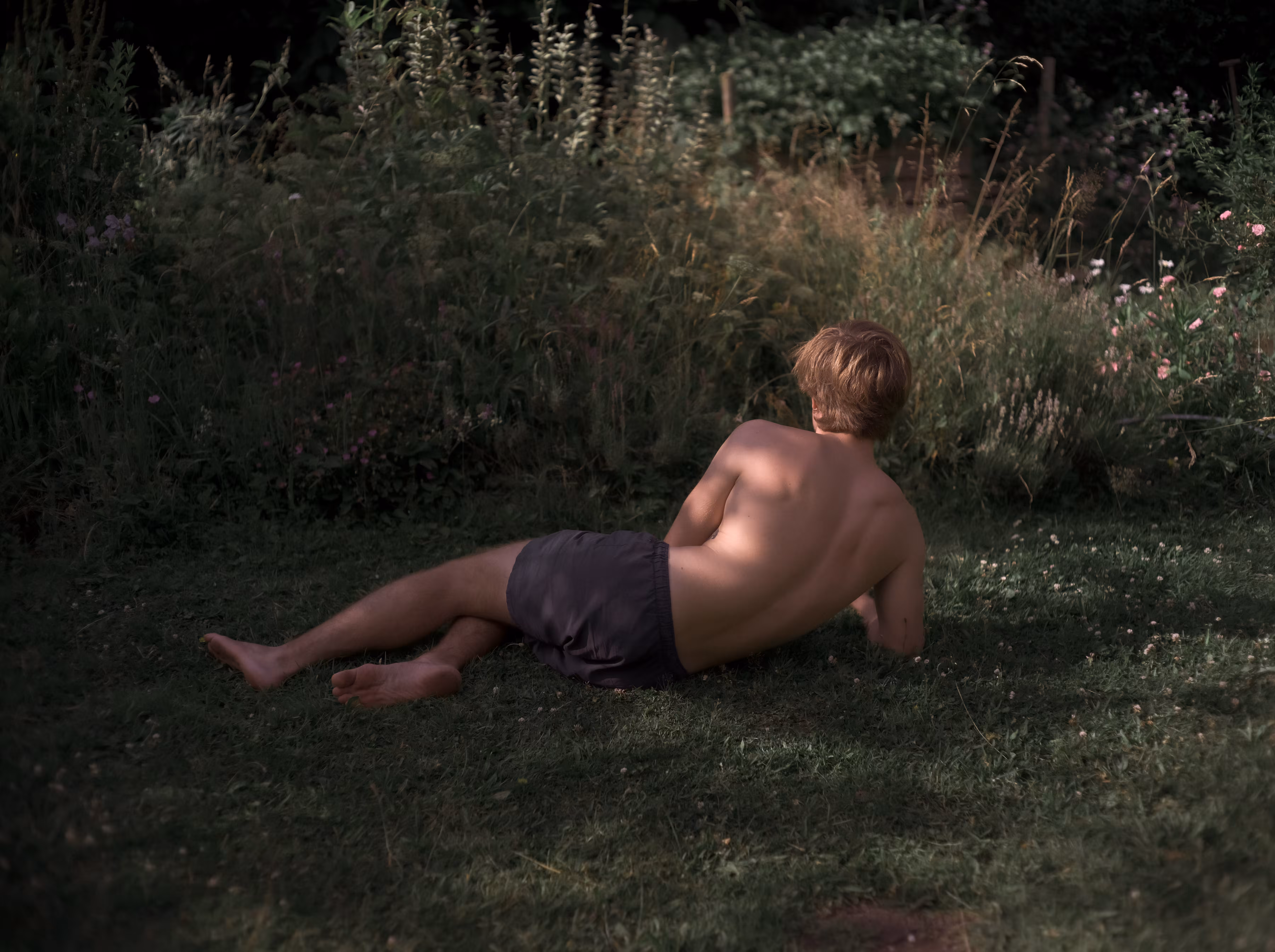 Midsummer Dream