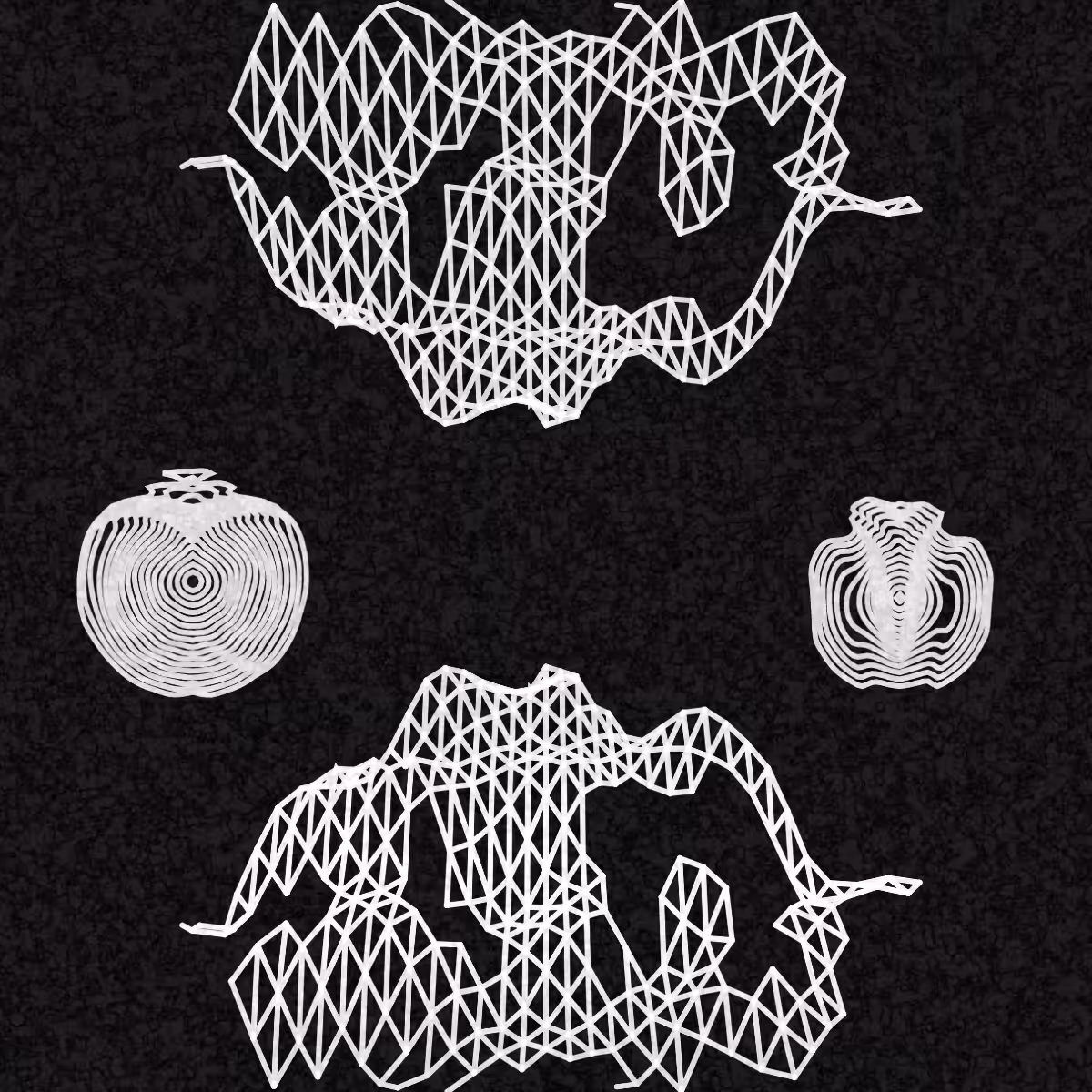 Plottable Wireframe (8 frames) #39