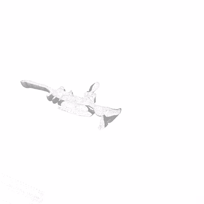 traces #6
