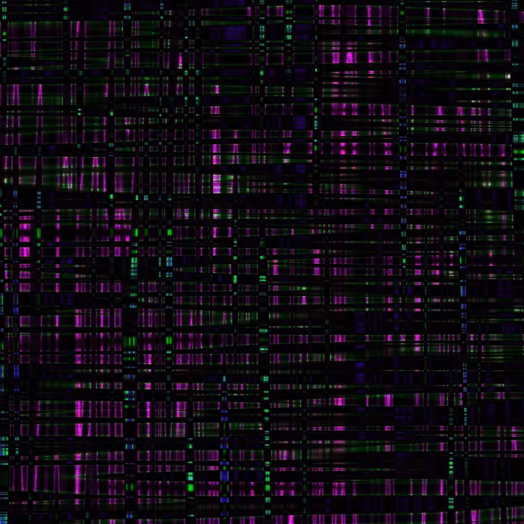 Weft 03