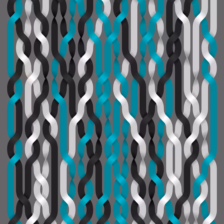 Endless Braids #21