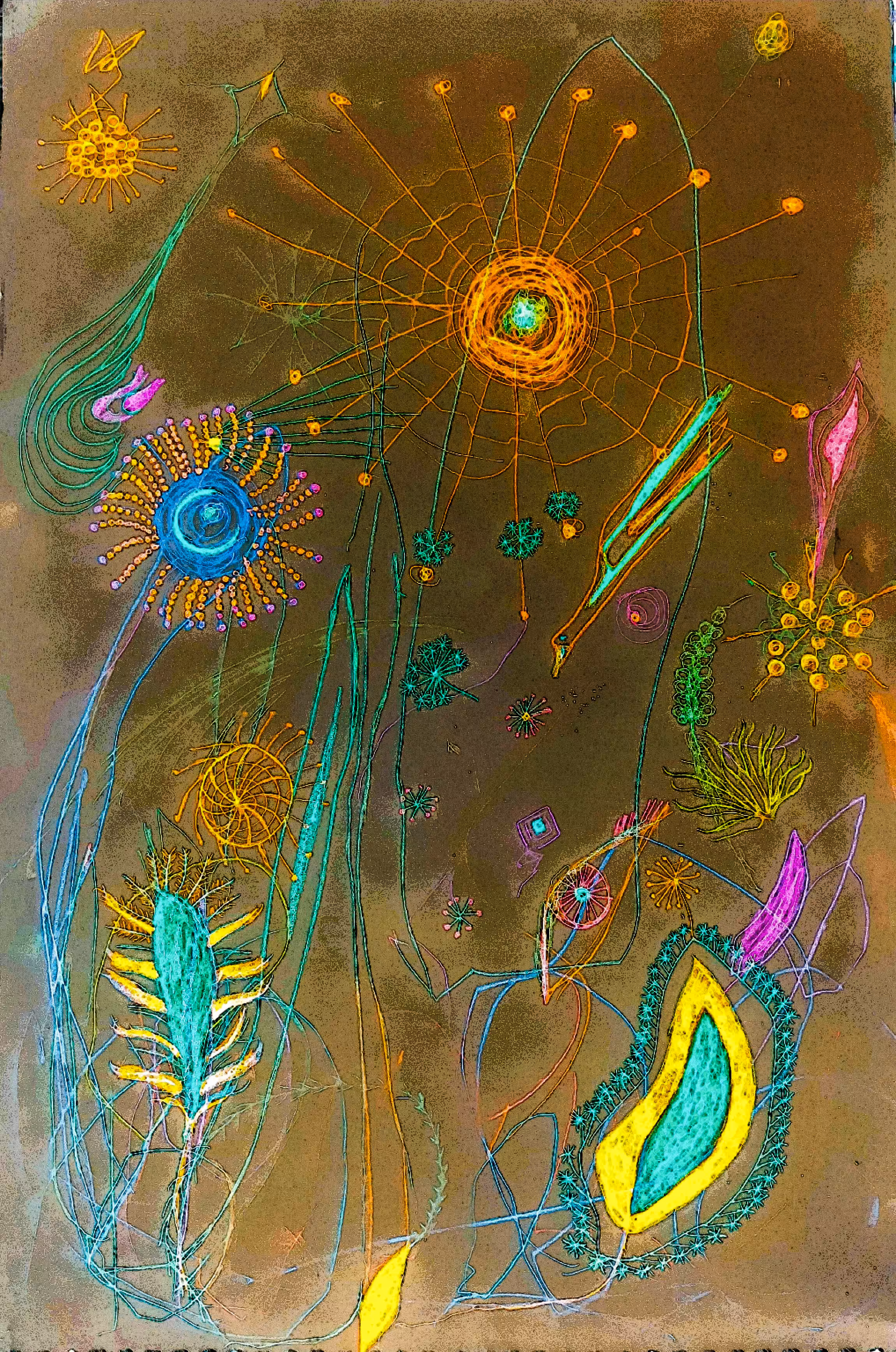 Emergent Field