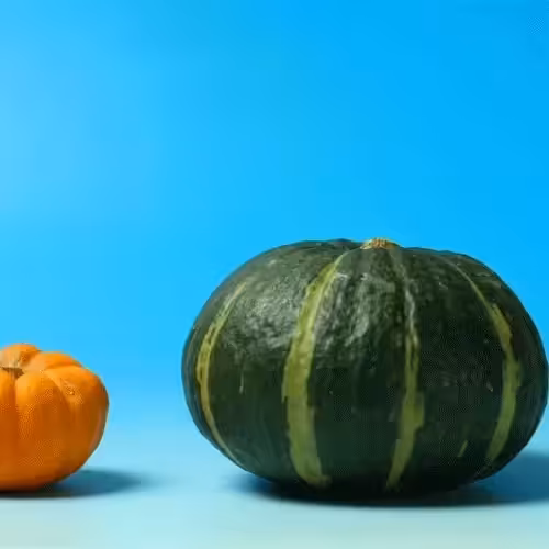 Halloween pumpkin Brothers