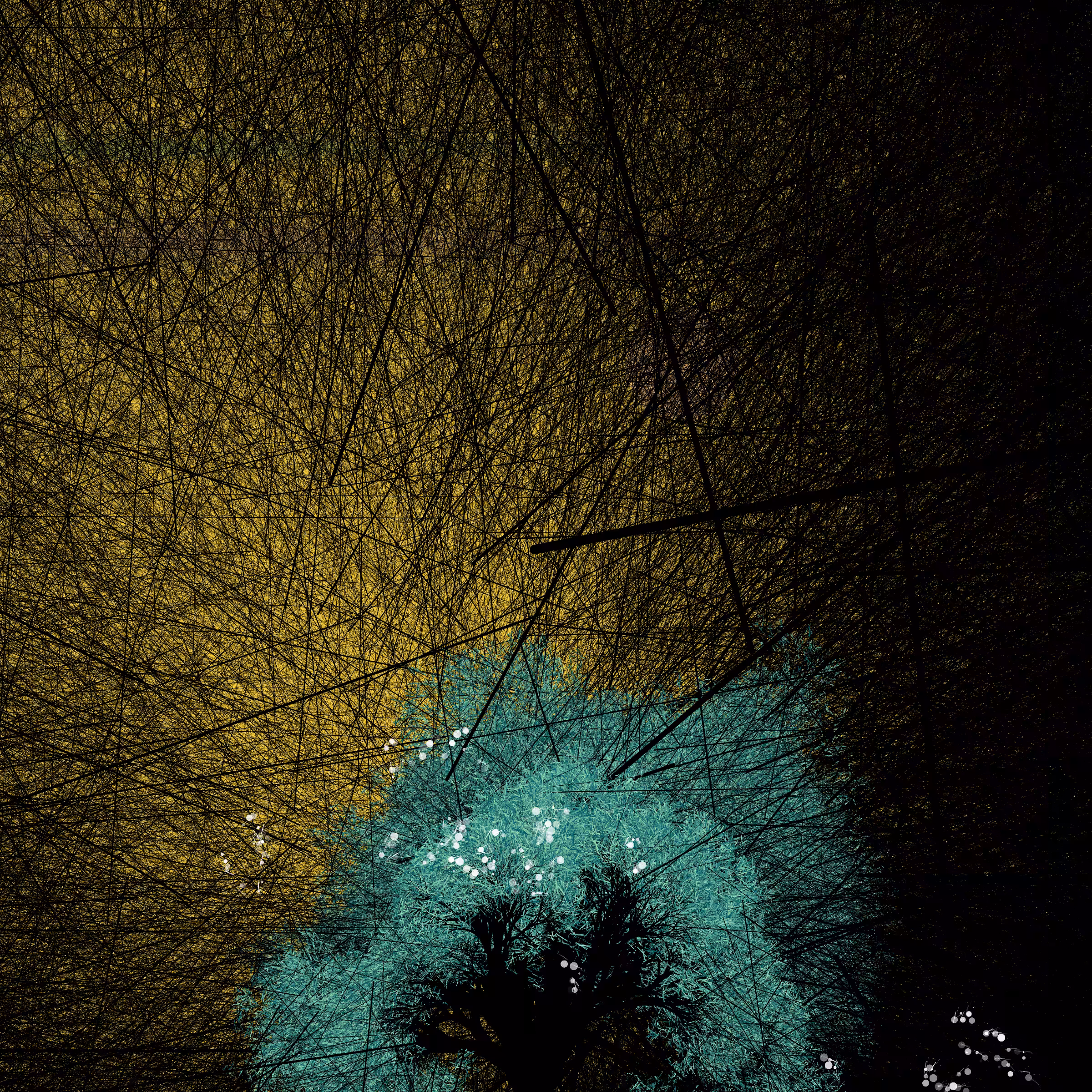 conversation with the wind #818