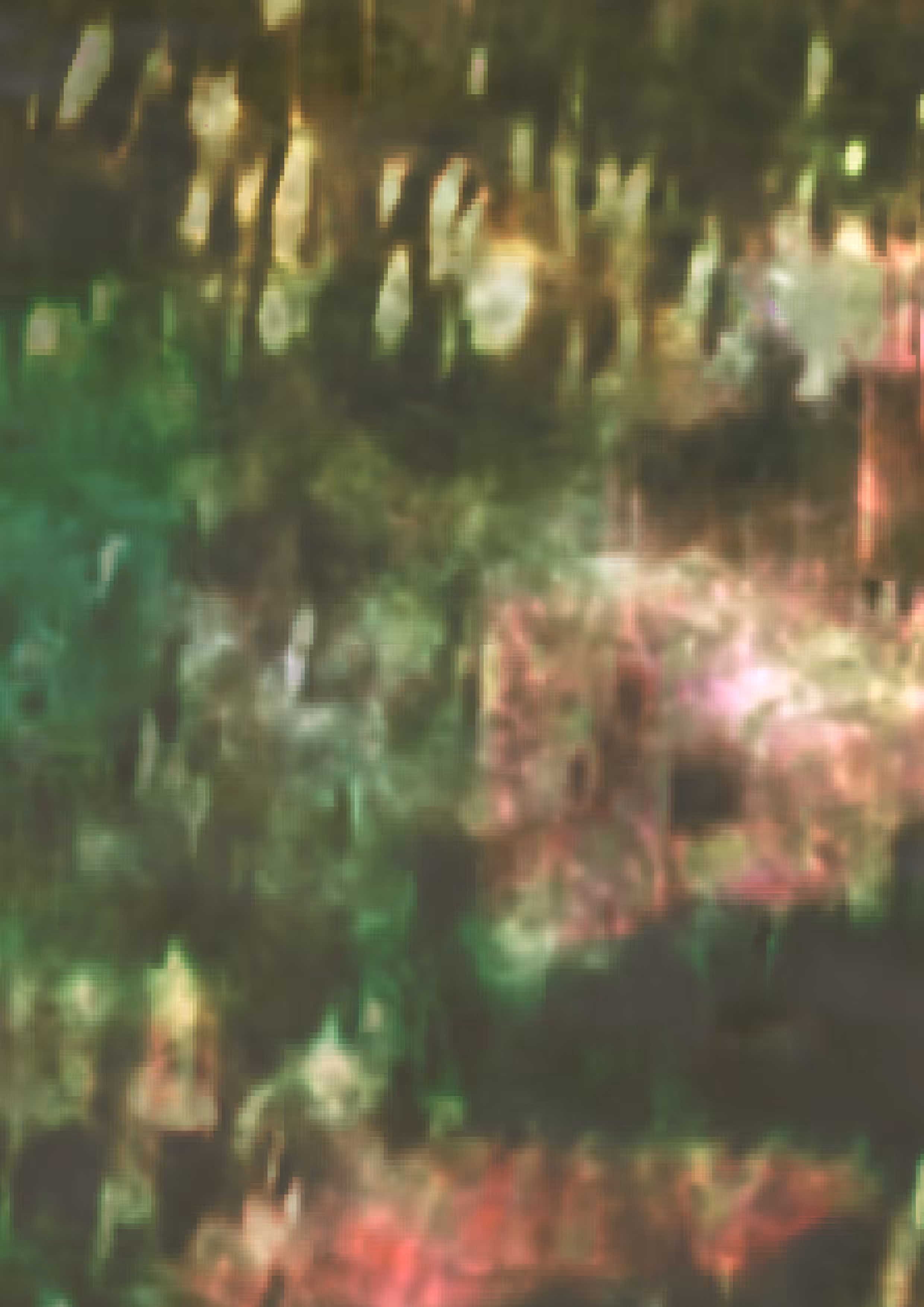 you_dont_have_skin.png