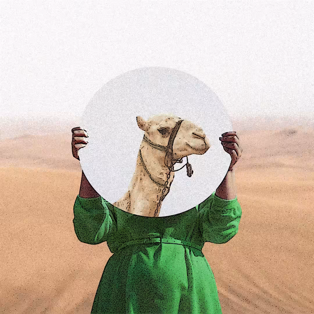 Desert Mirror 4