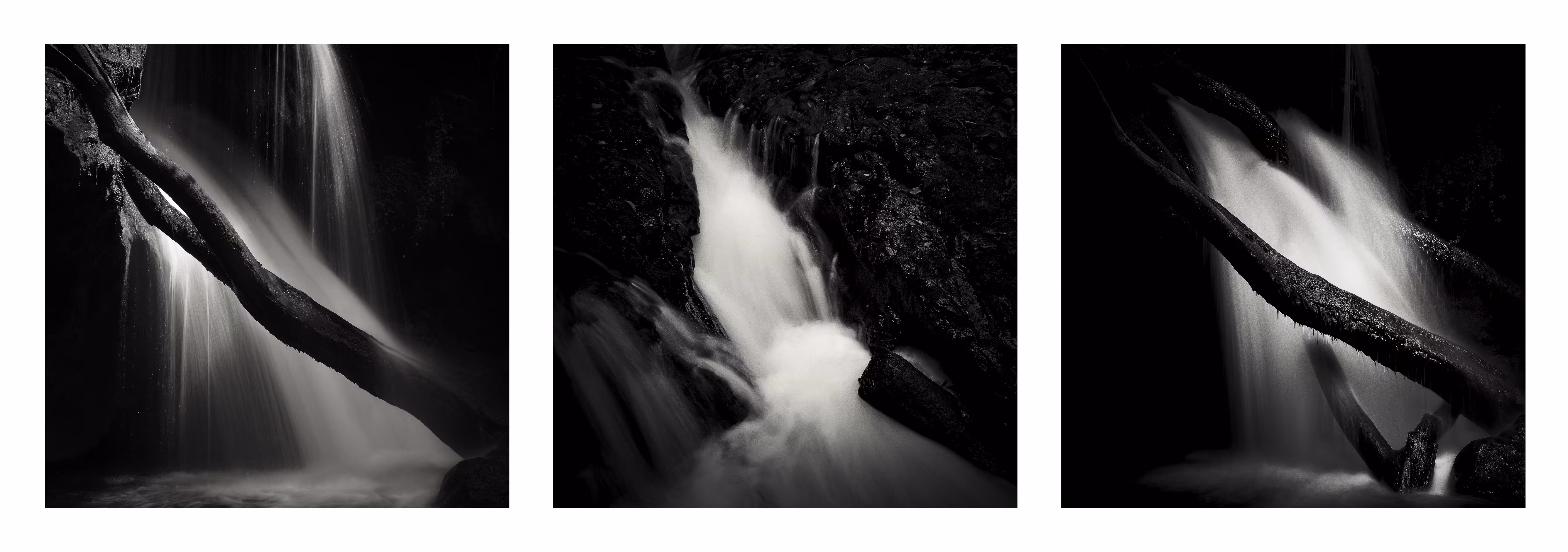 WHITE FLOW #3