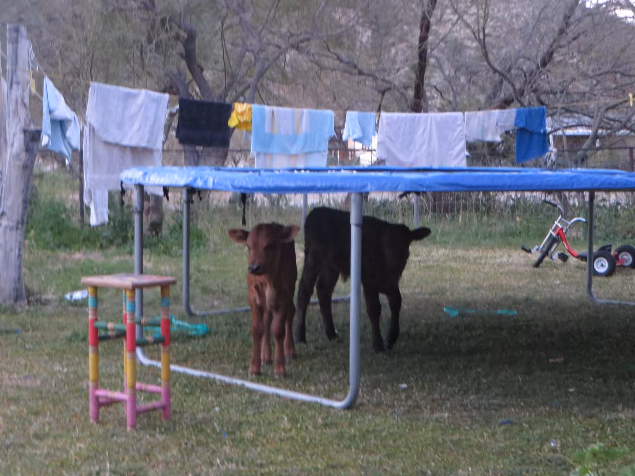 New borns just want to have fun.  