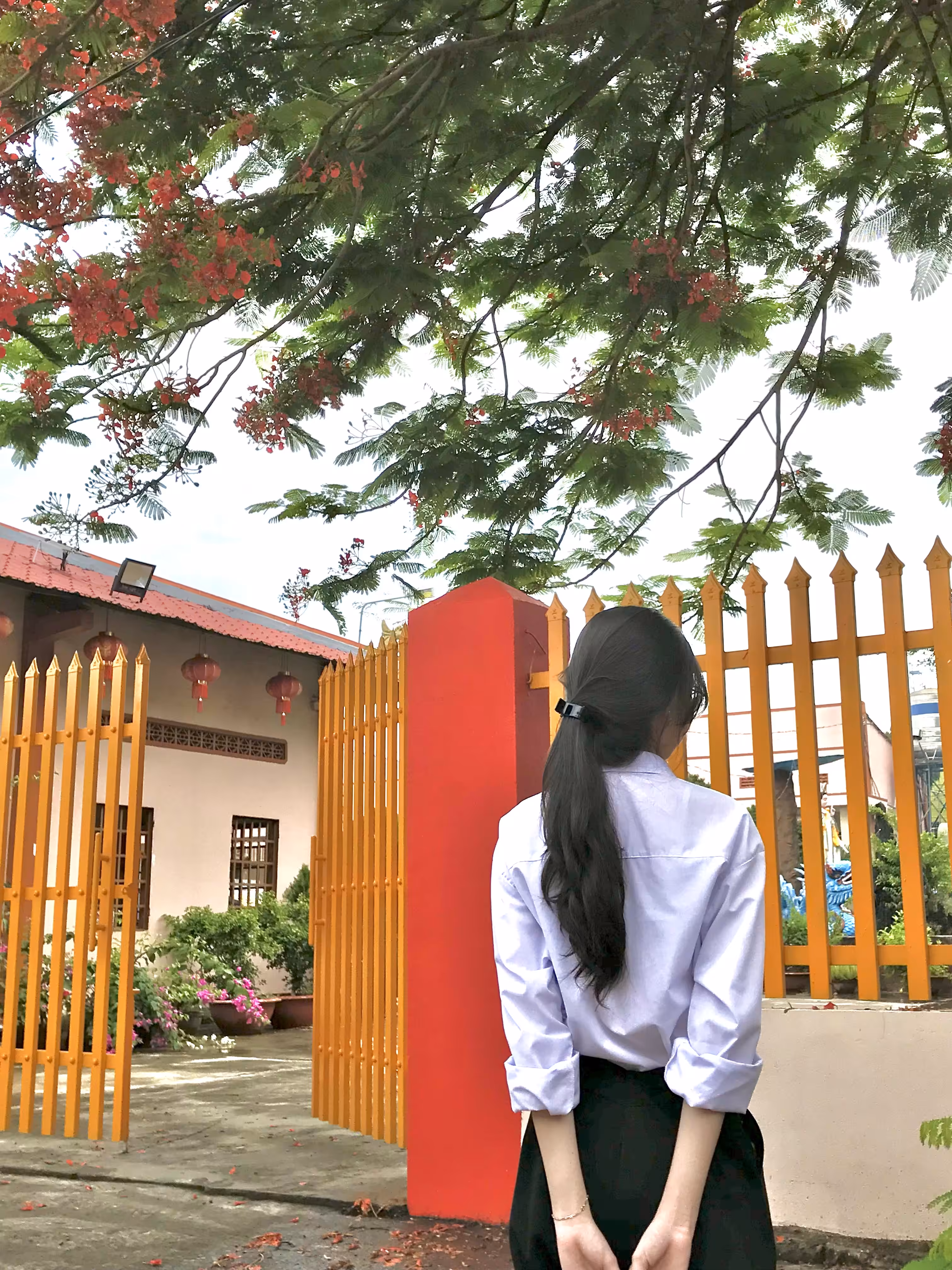 💙Phượng Rơi💙