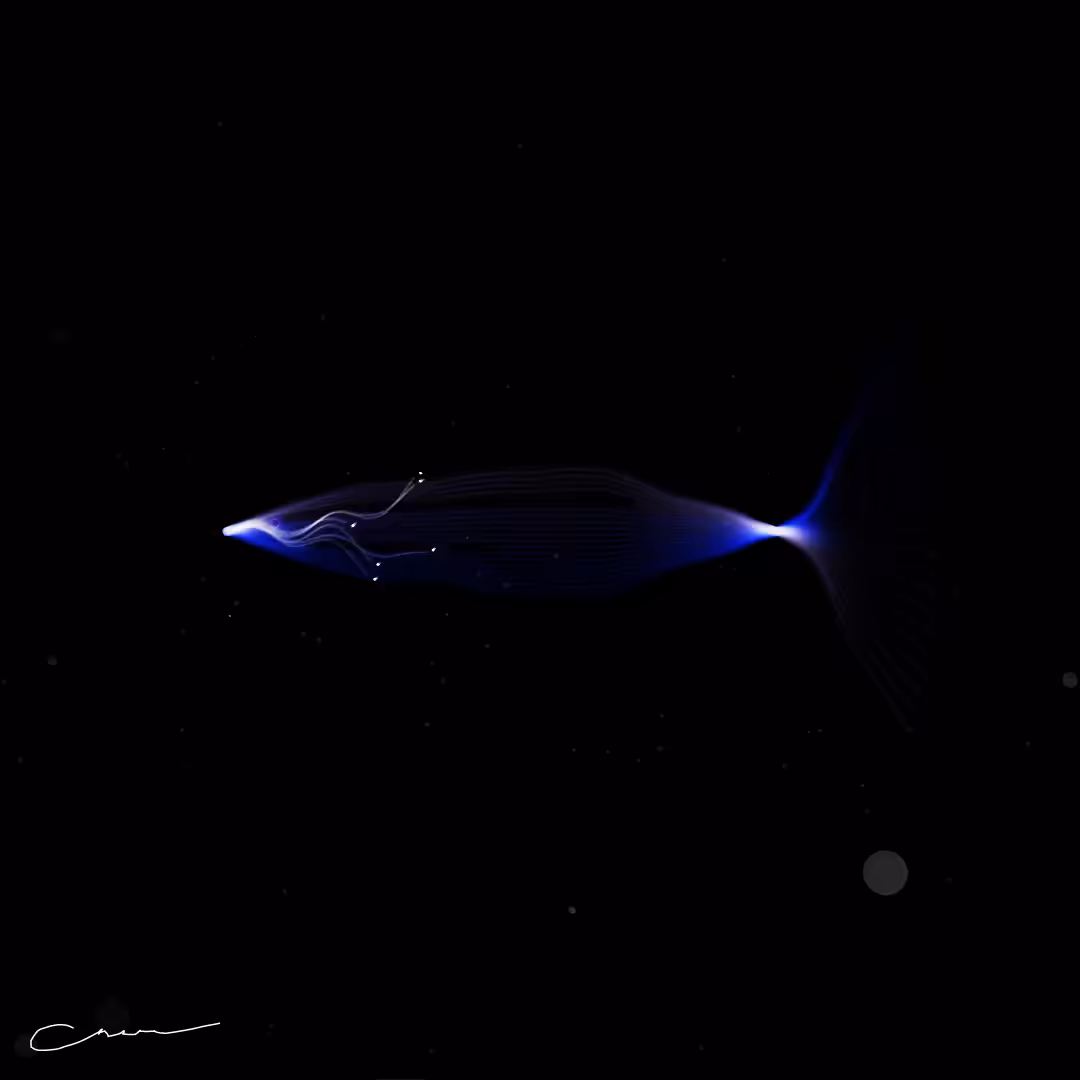 SoulFish #354