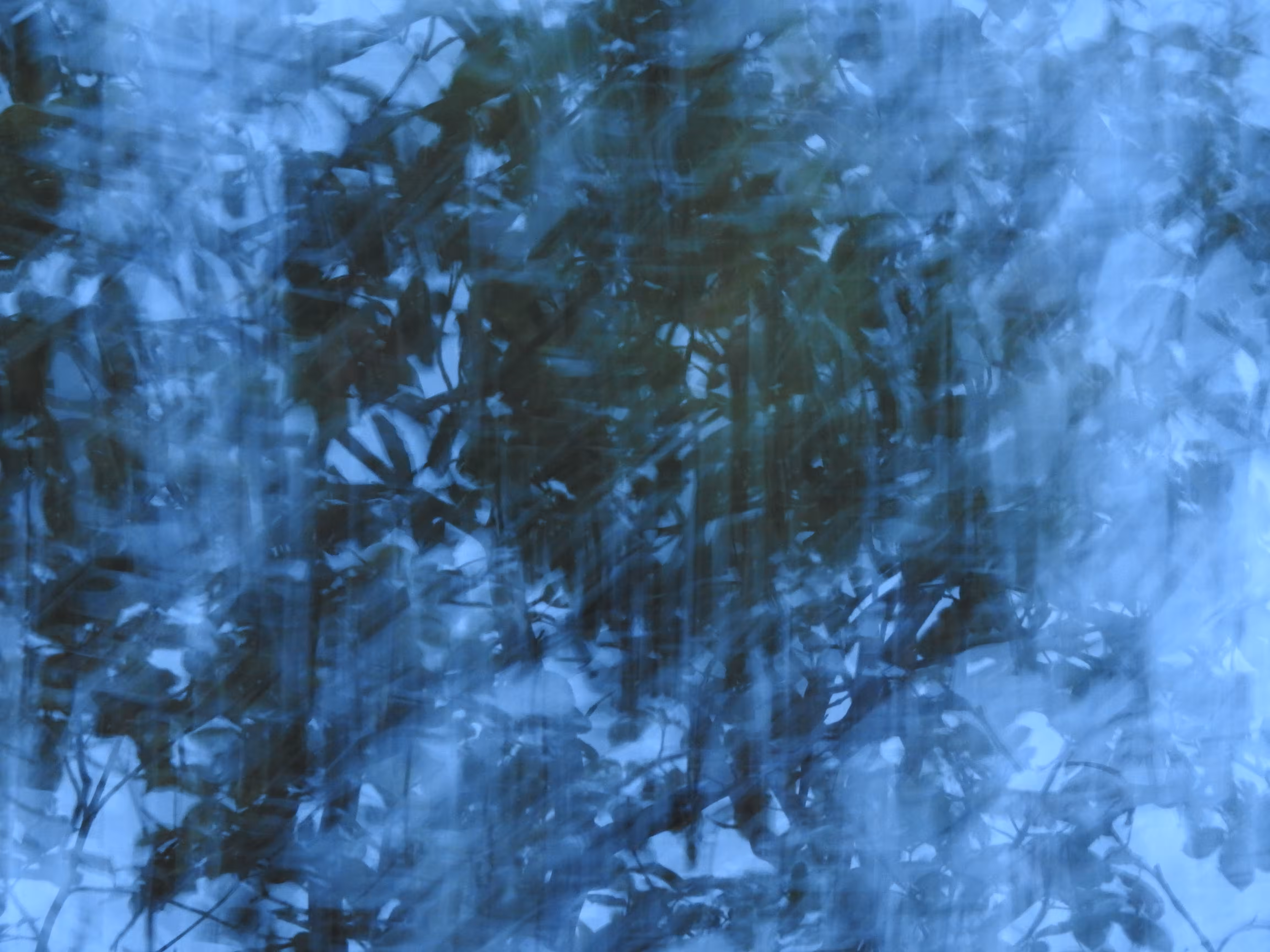 painting with a camera - Piece 01