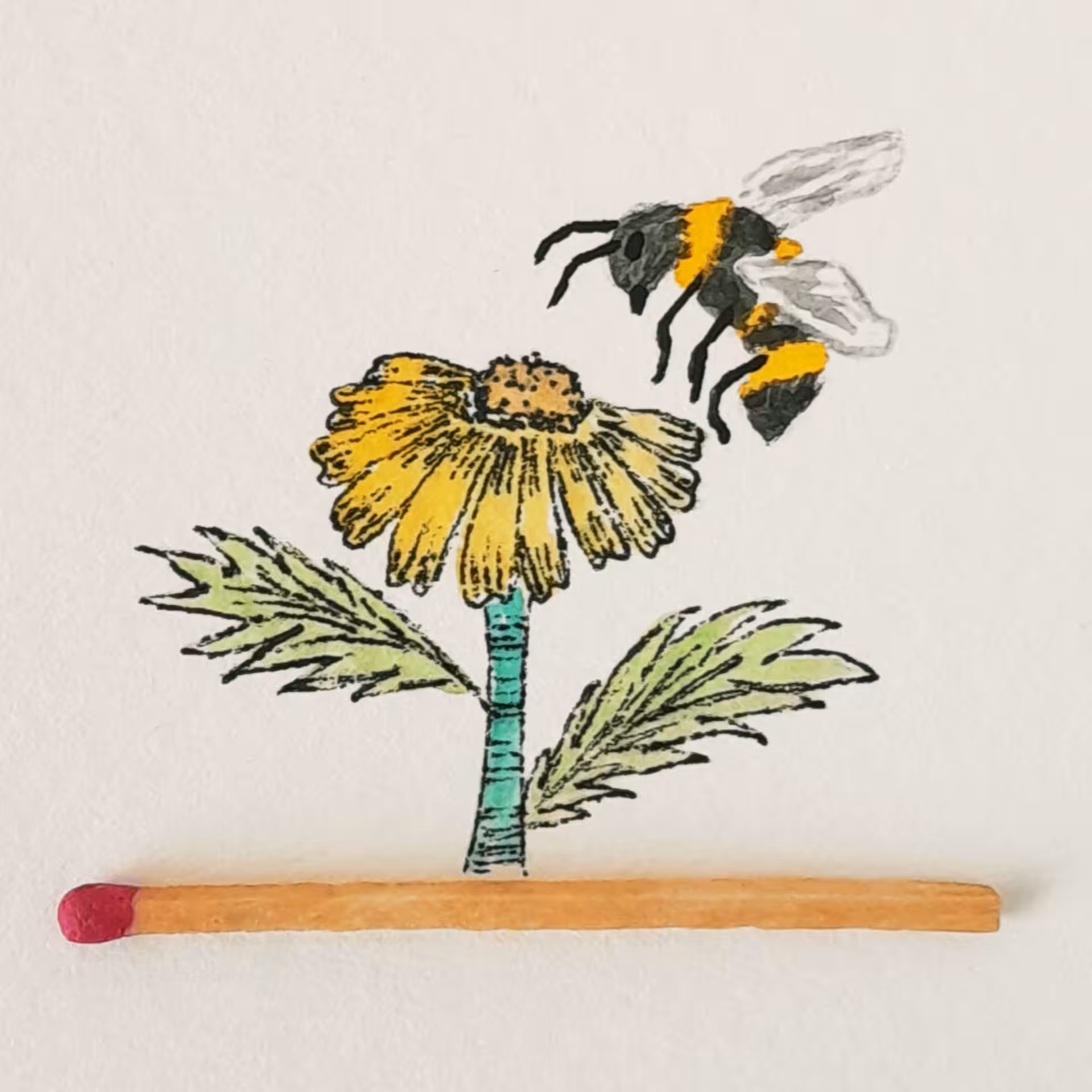 Honey bee 7