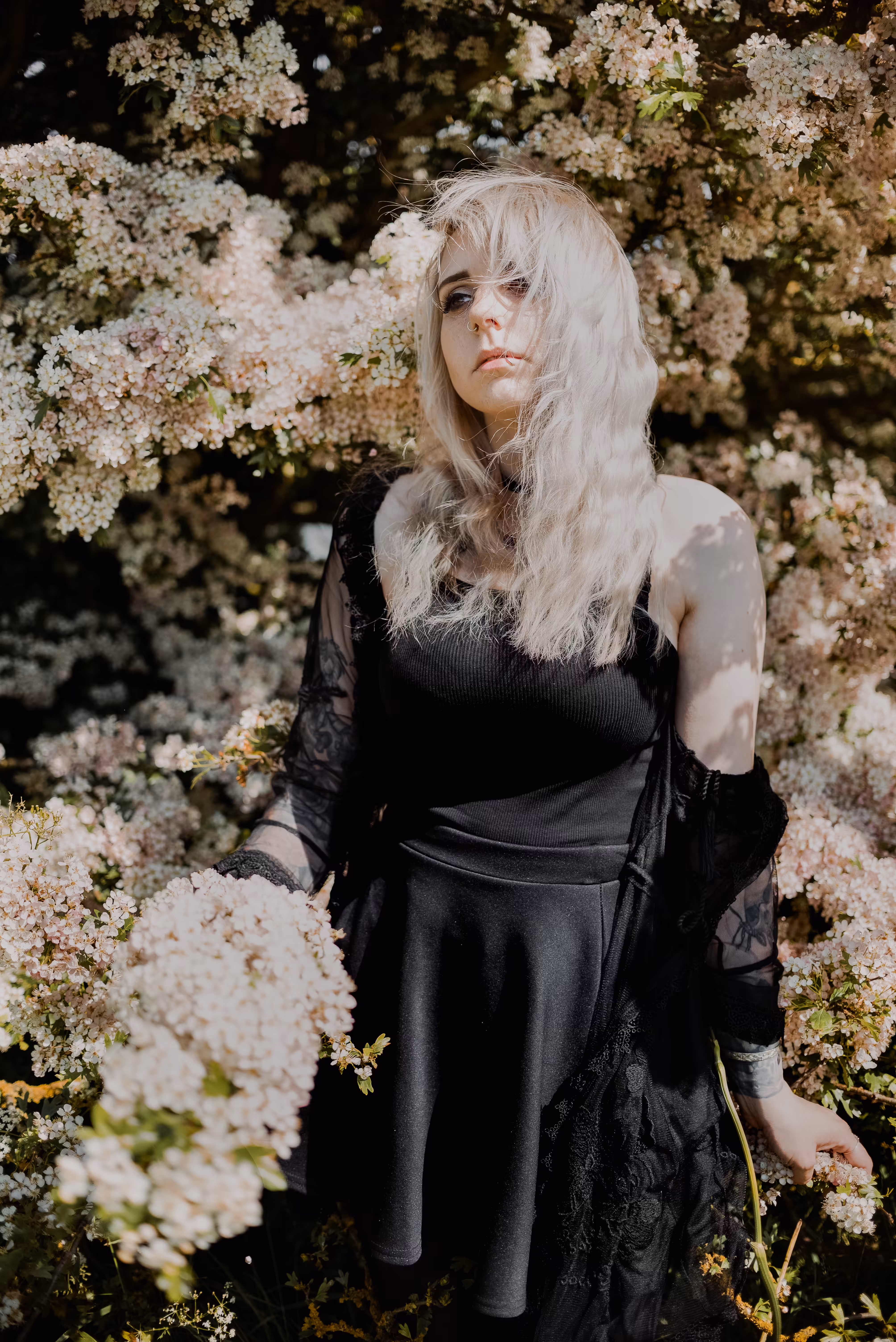 Blossom