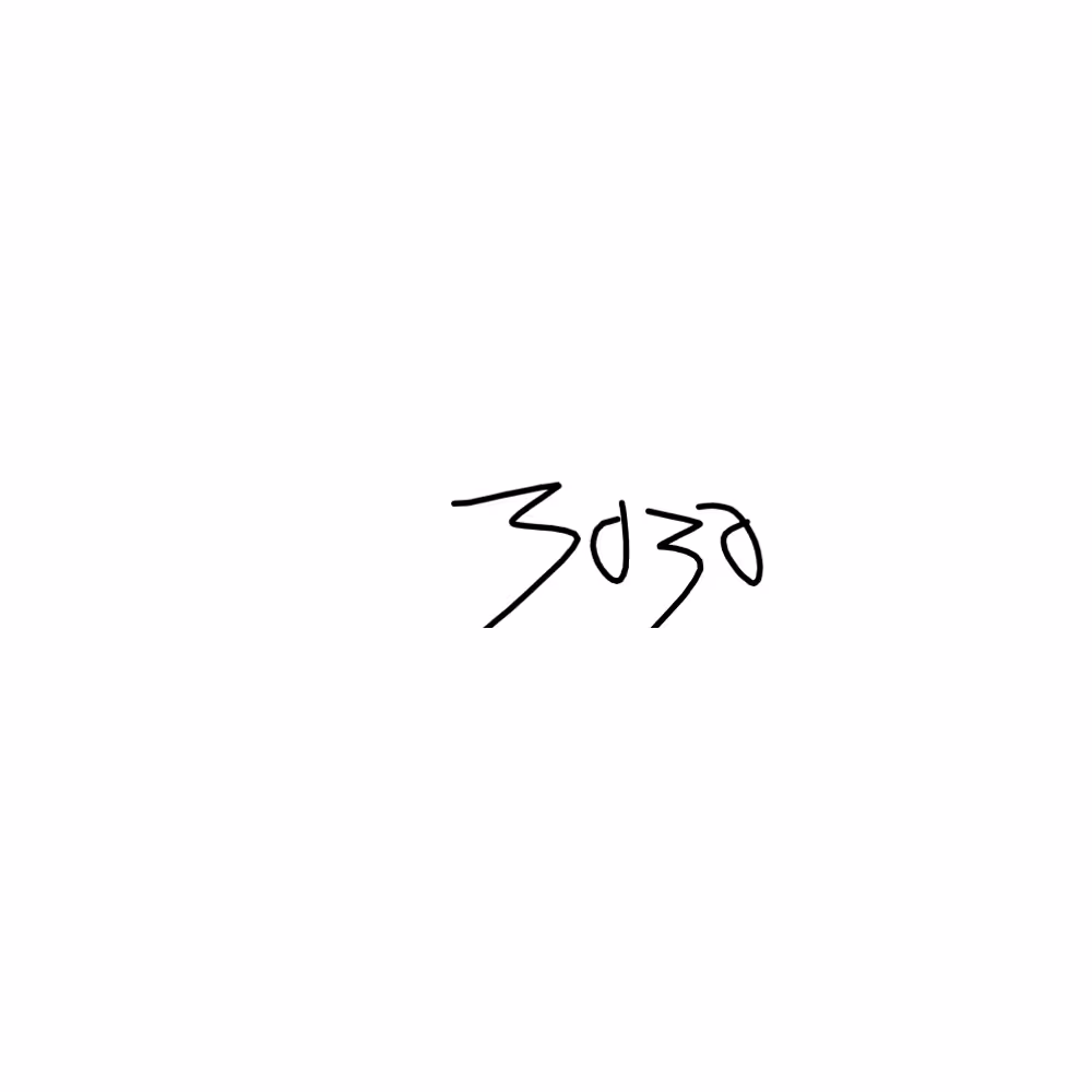 Receipt #3030