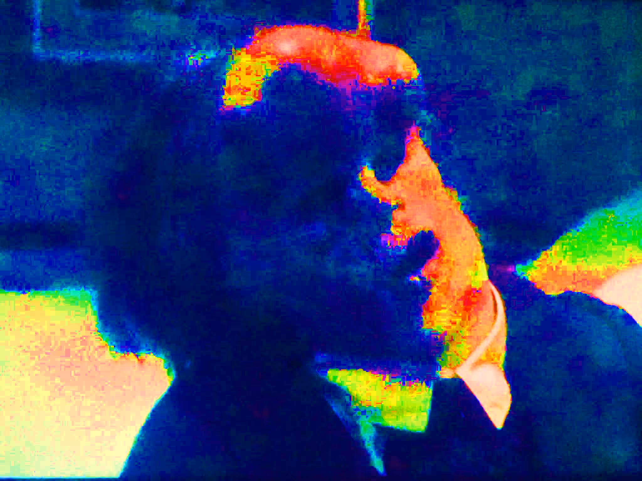 i saw you and rainbow appeared on my head