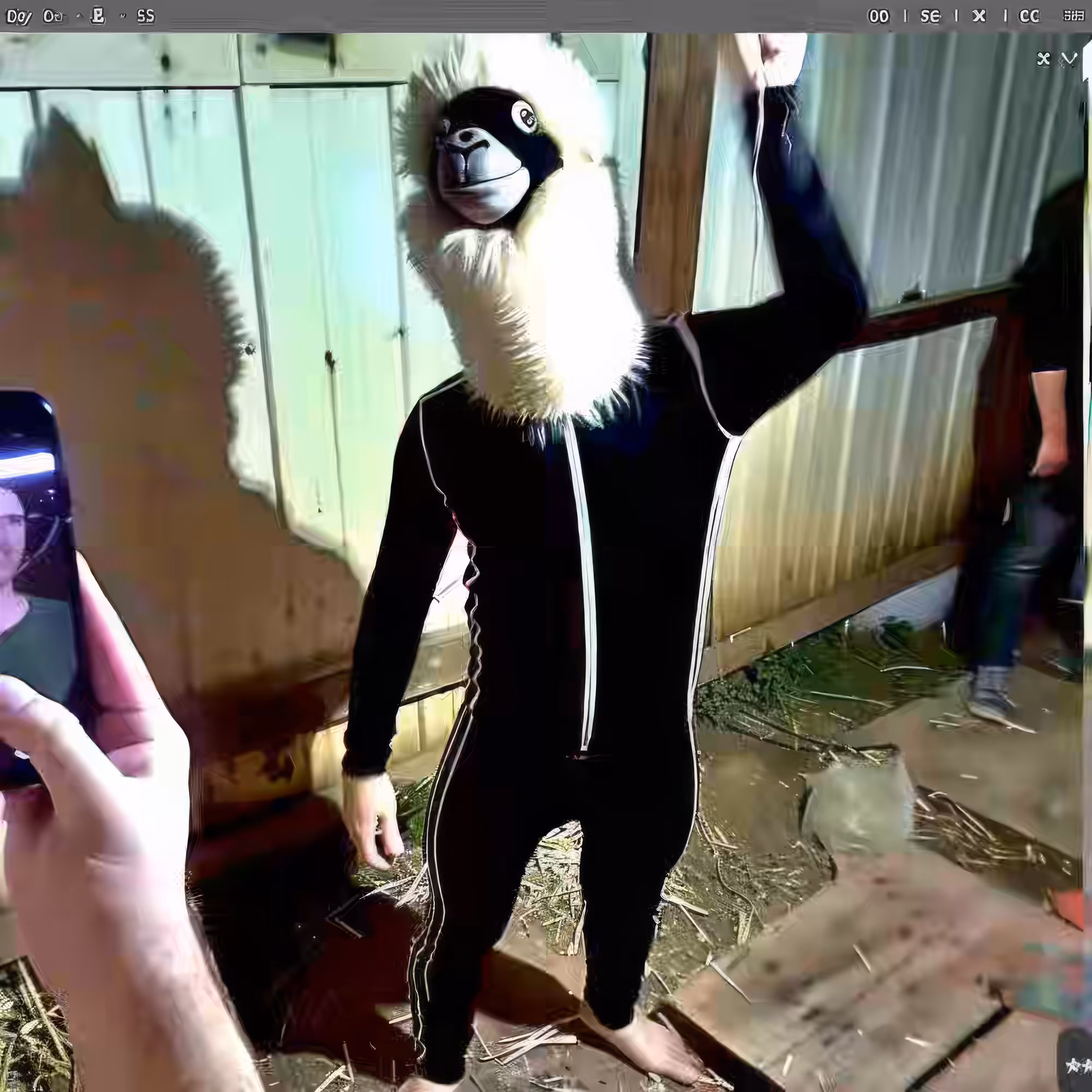 BAD JPEGs: Llama-Performance