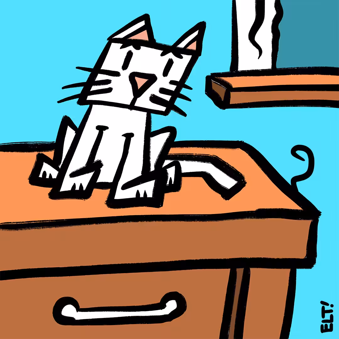 Cat & Mouse