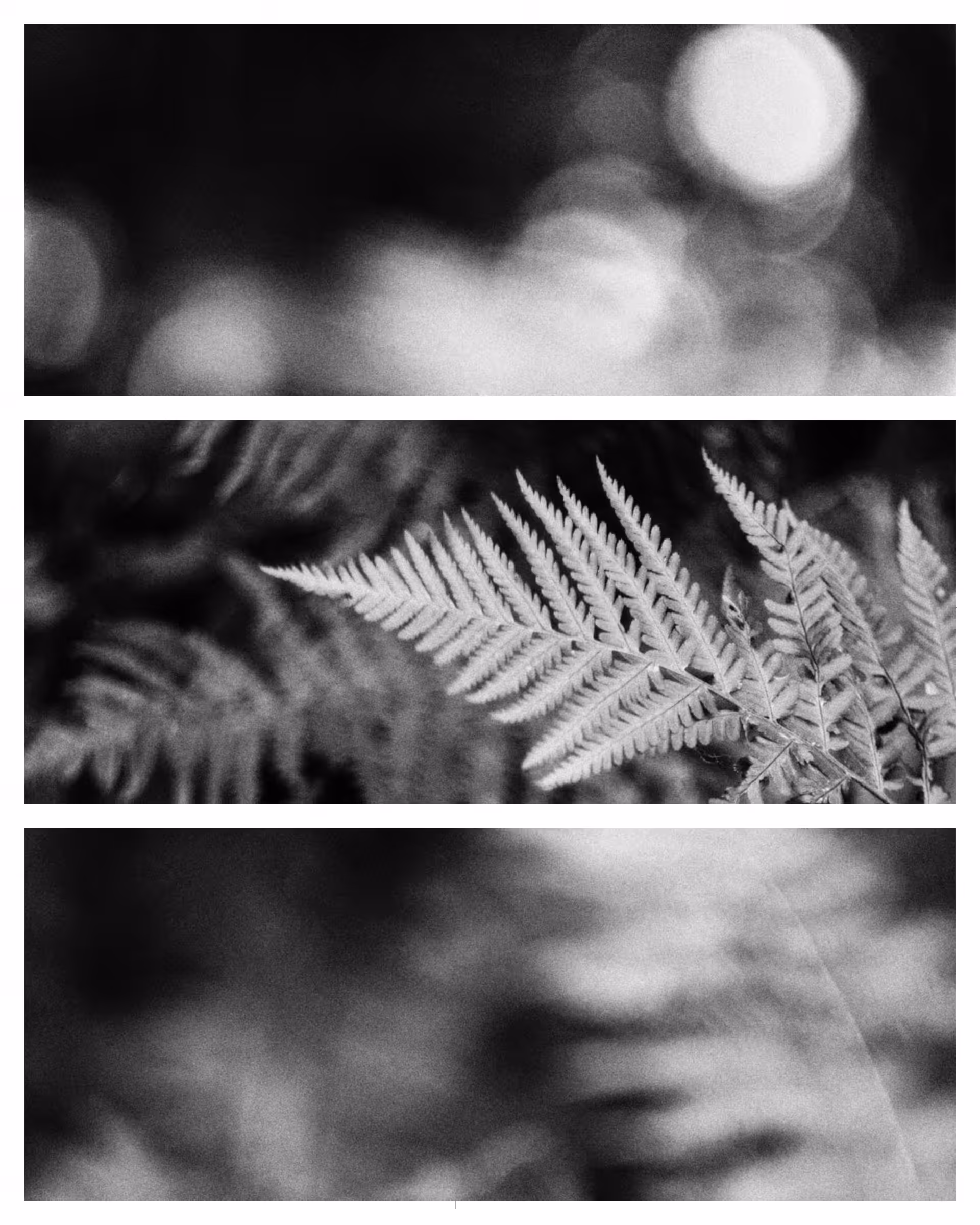 In a Dream