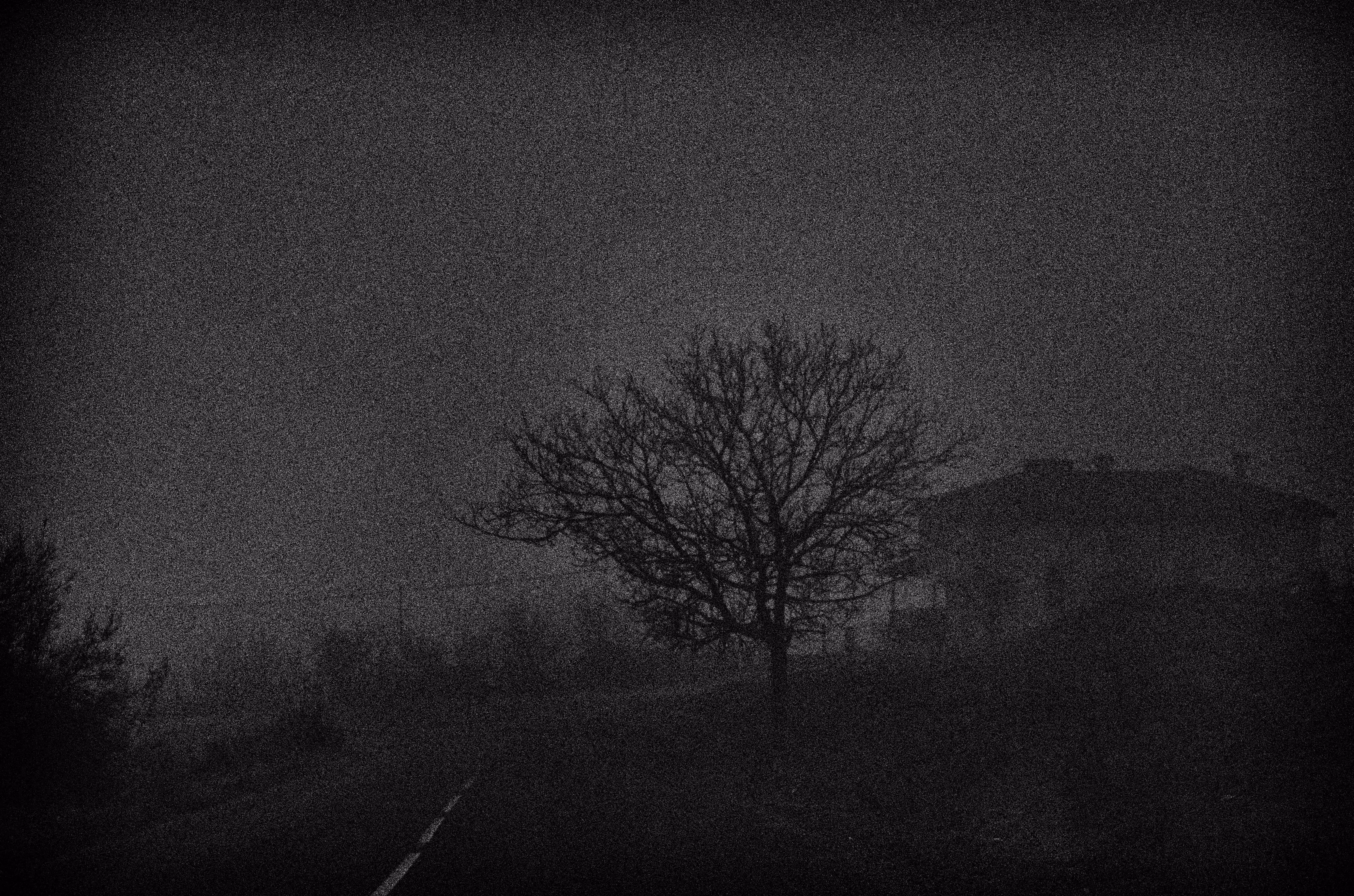 House on the Road