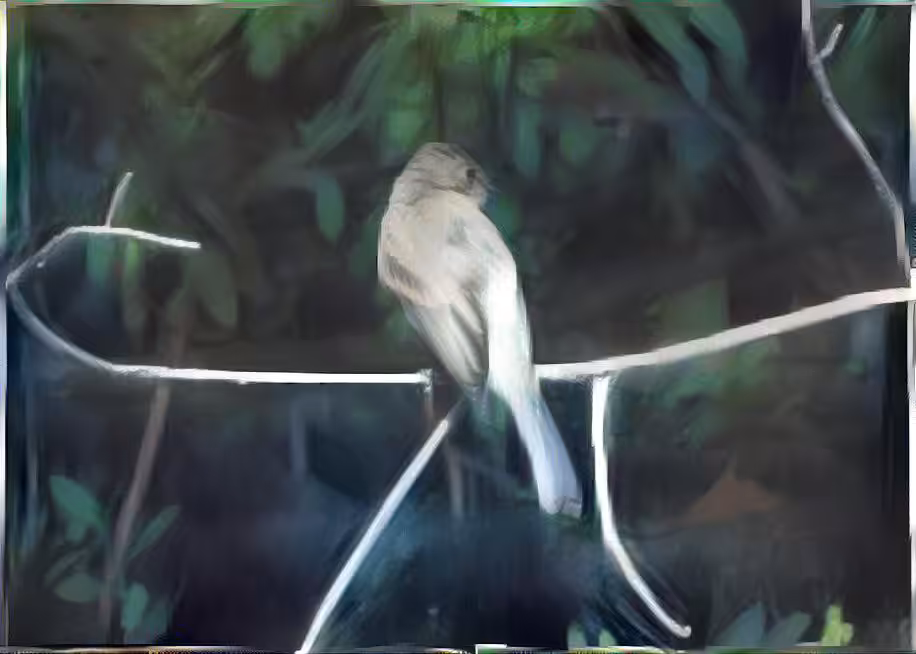 T3D Flycatcher