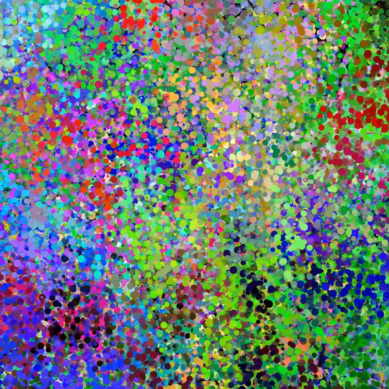 DOT #24