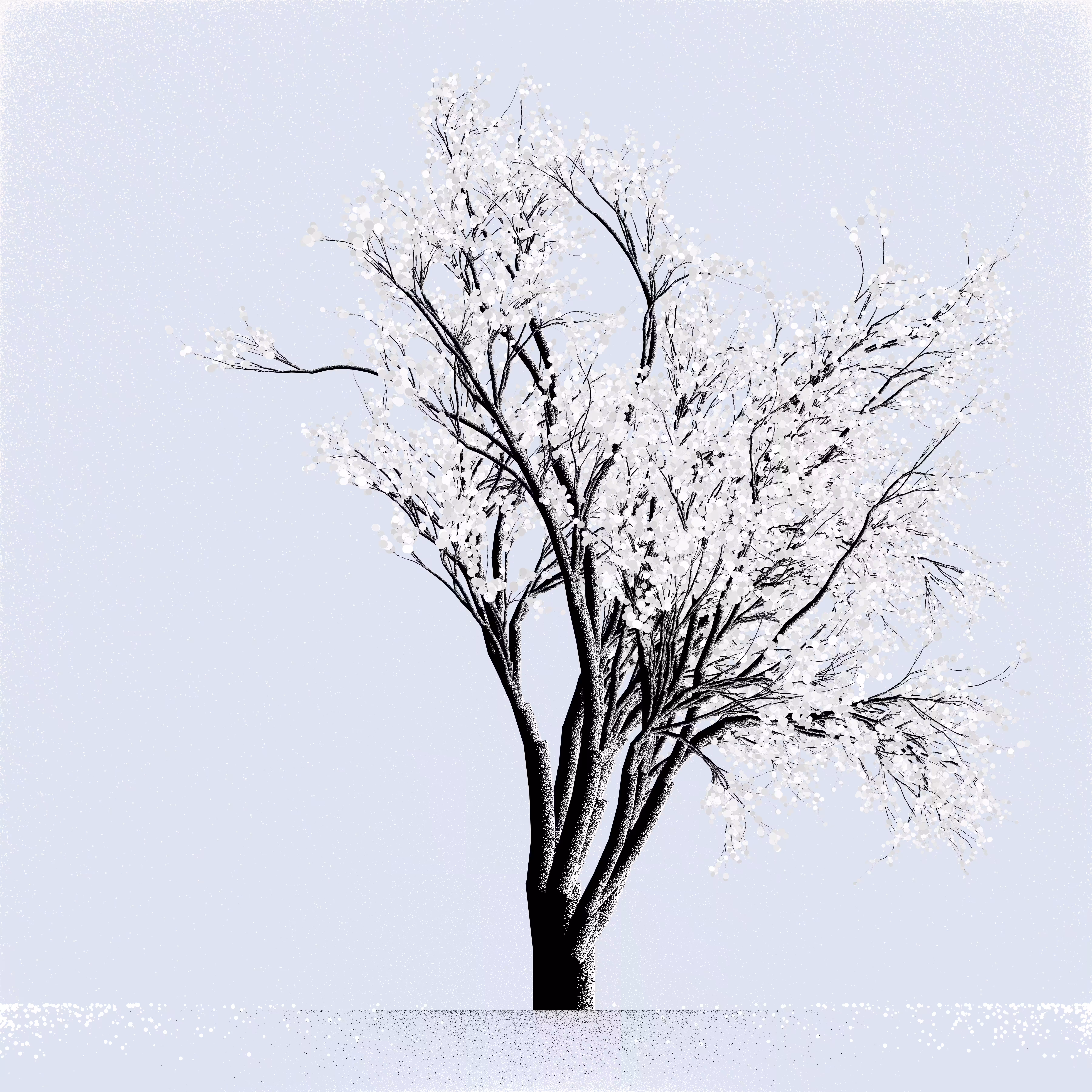 Snow Tree #28