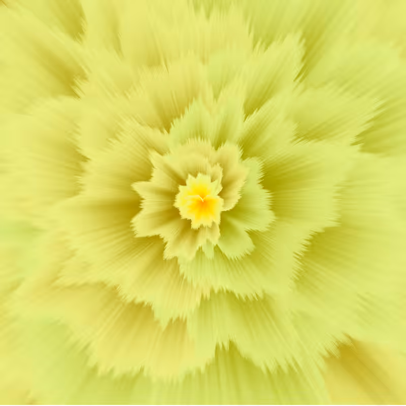 Color blast #4
