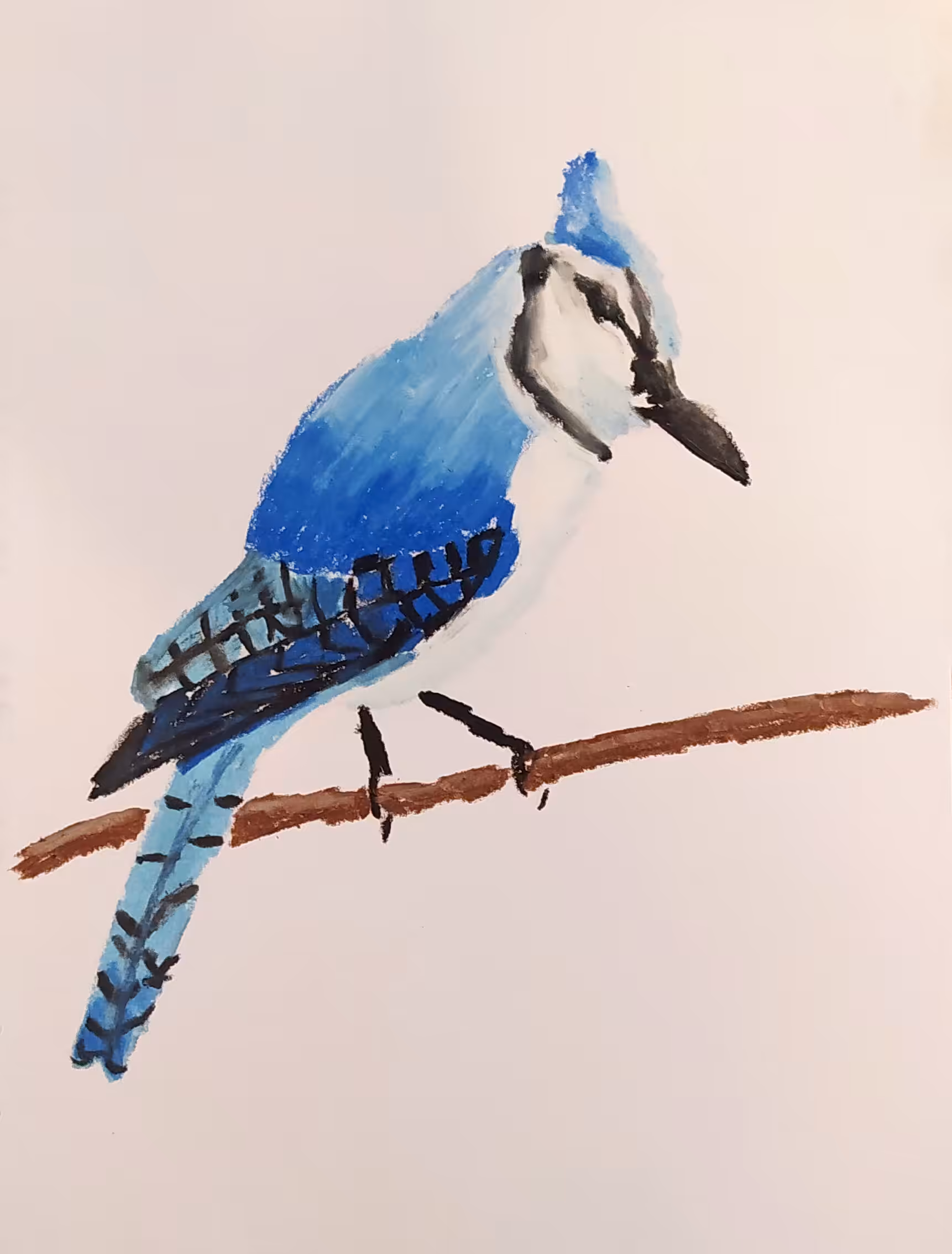 azulejo
