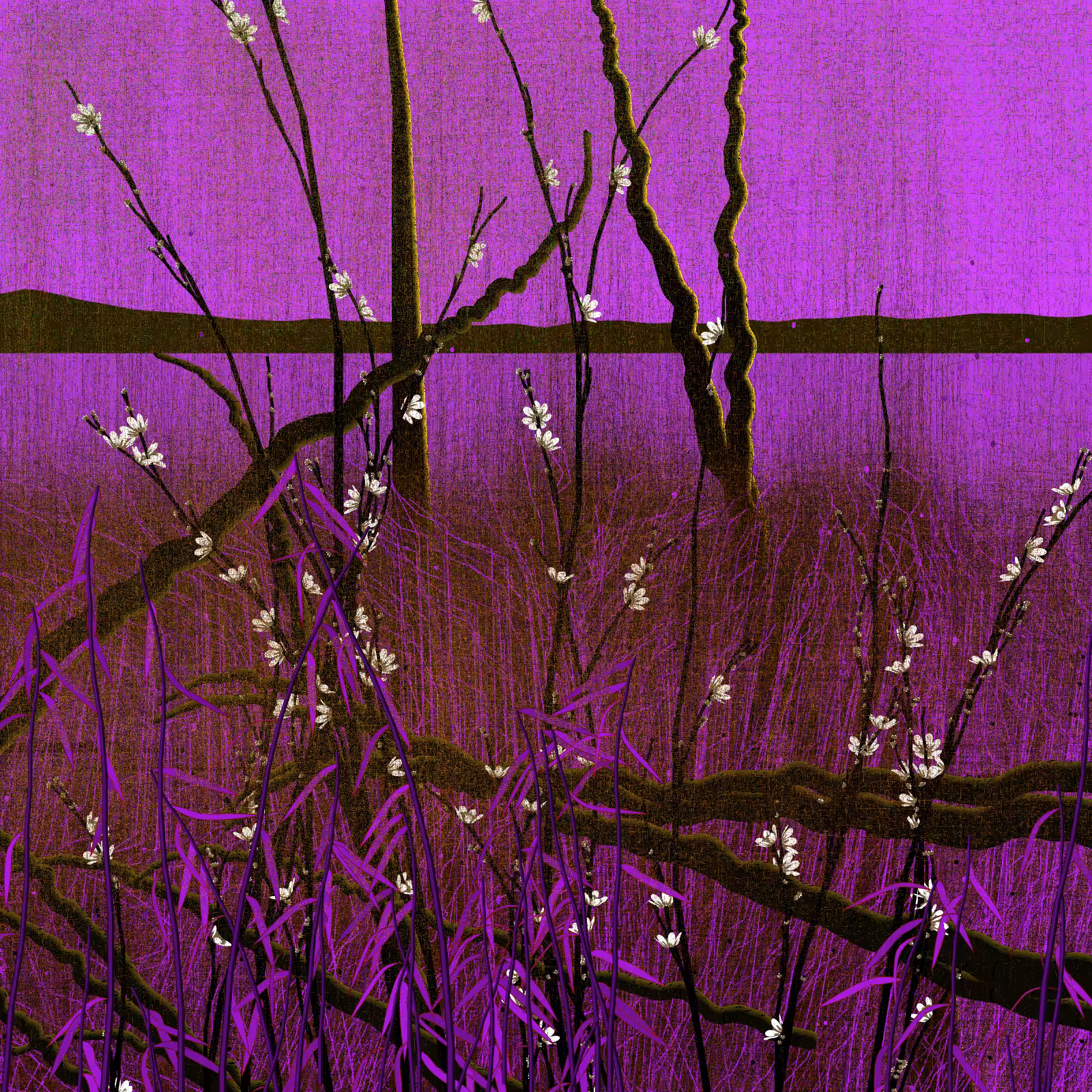 Dry twigs #60