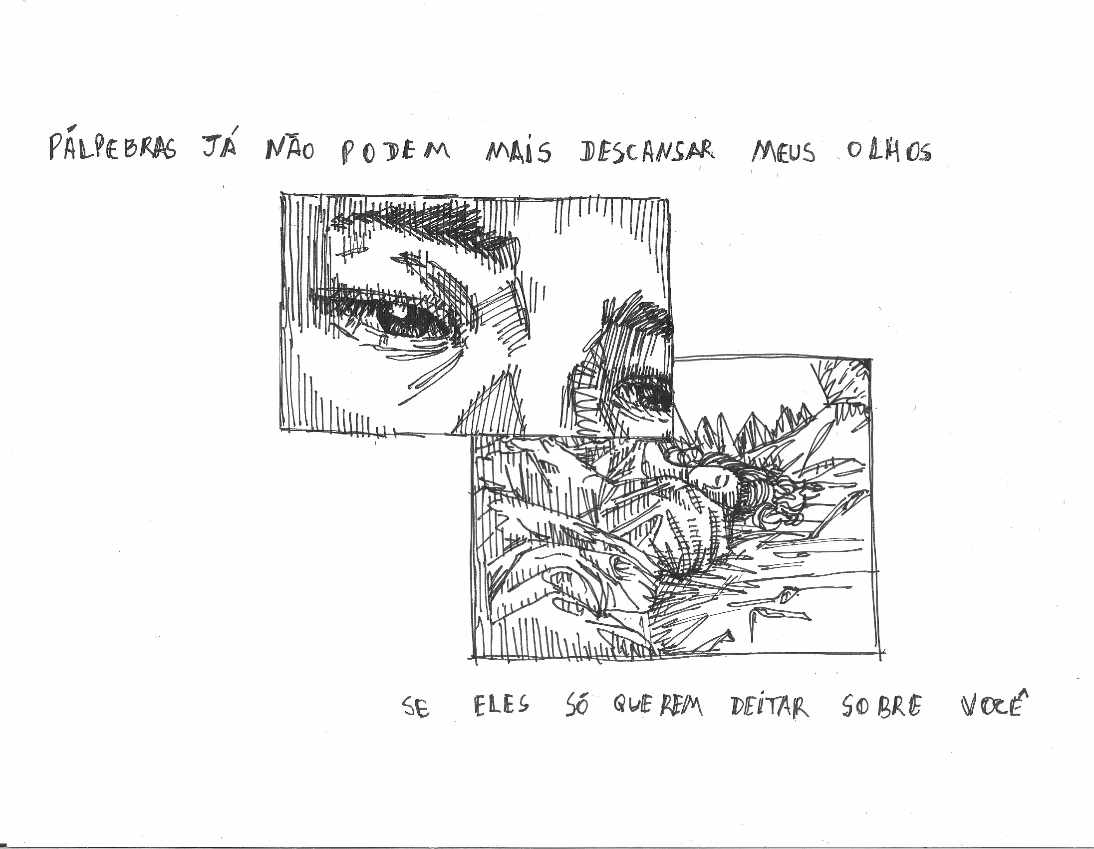 Eyelids