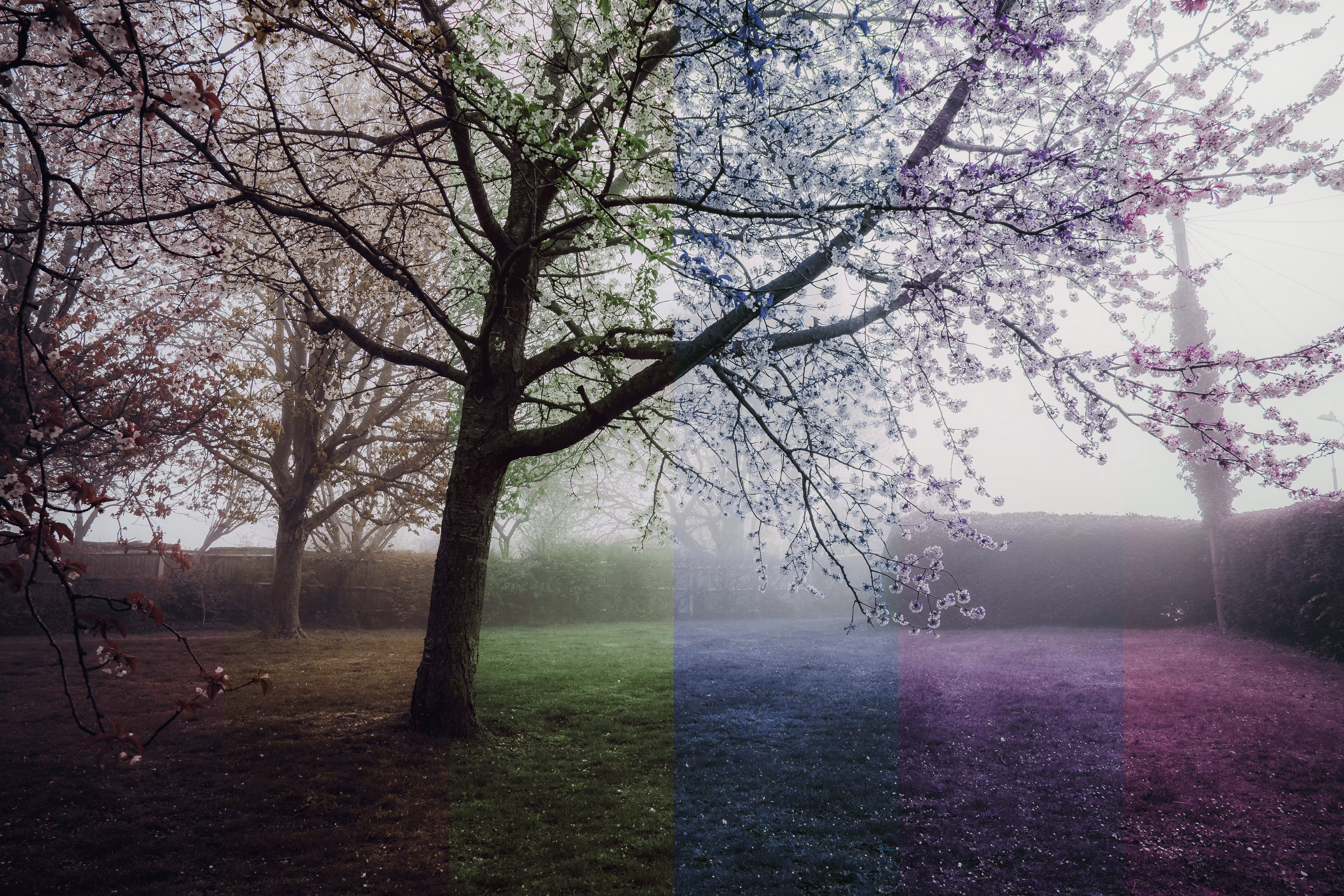 A splash of colour