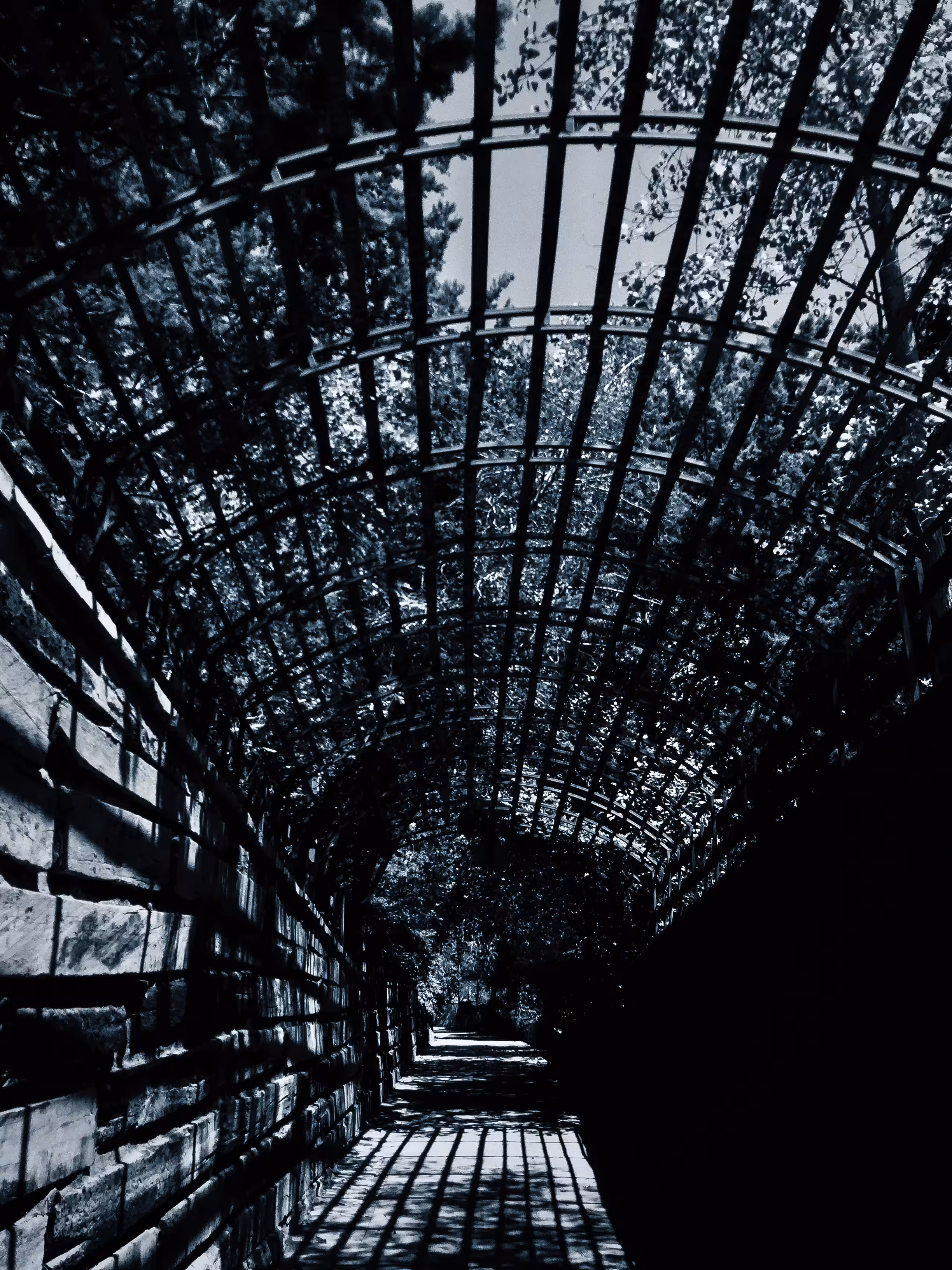 PHOTOGRAPHY : Lines in the shadow 