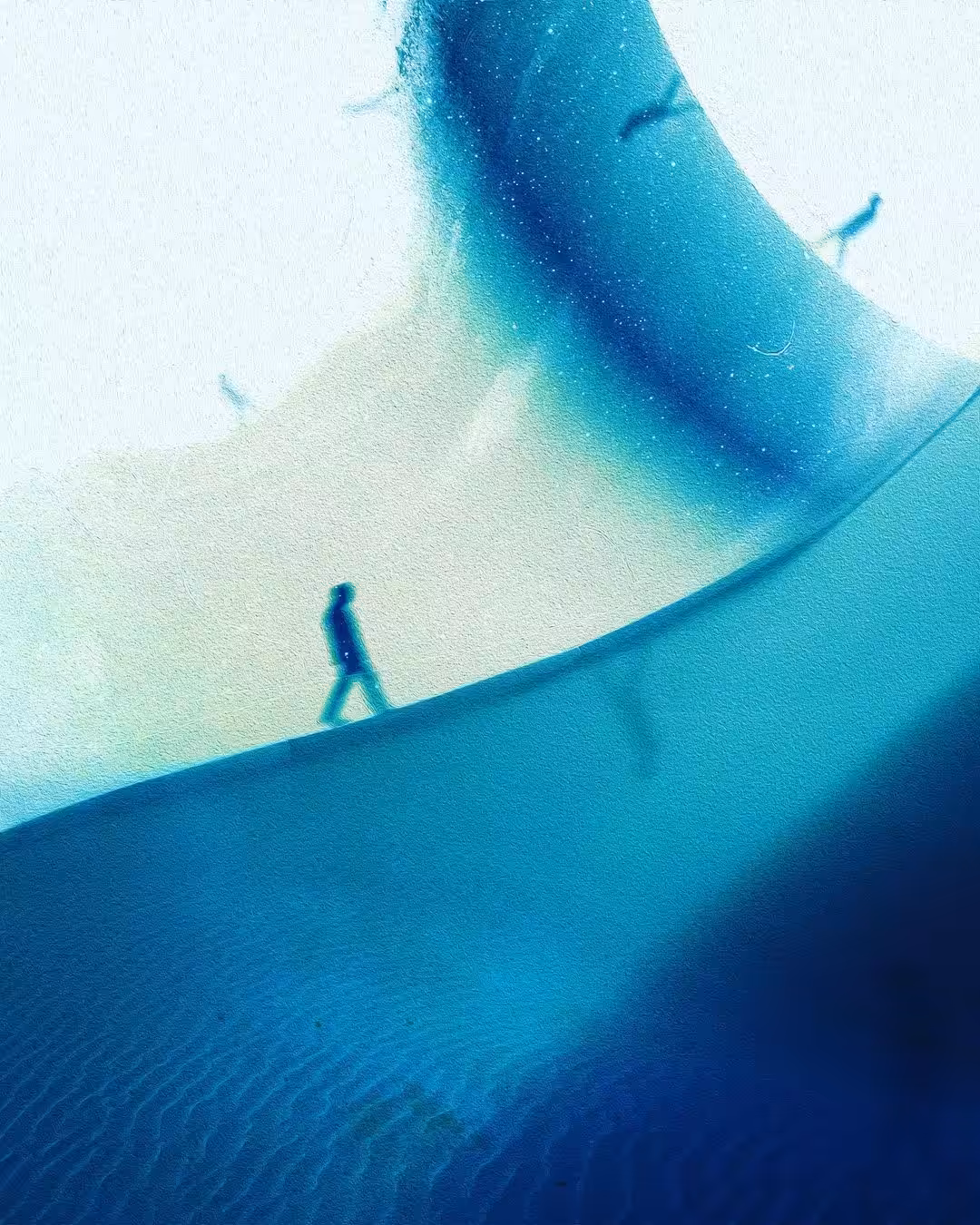 Trip