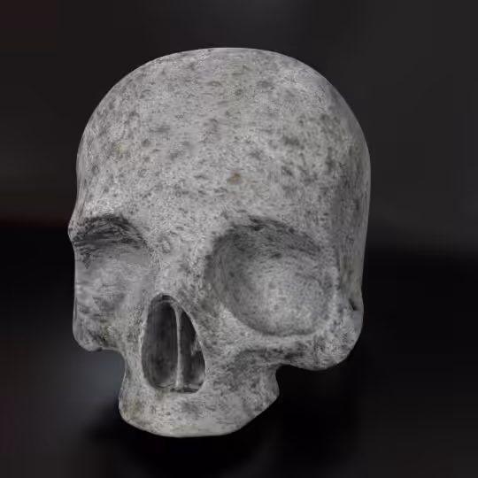 SkullZ #92