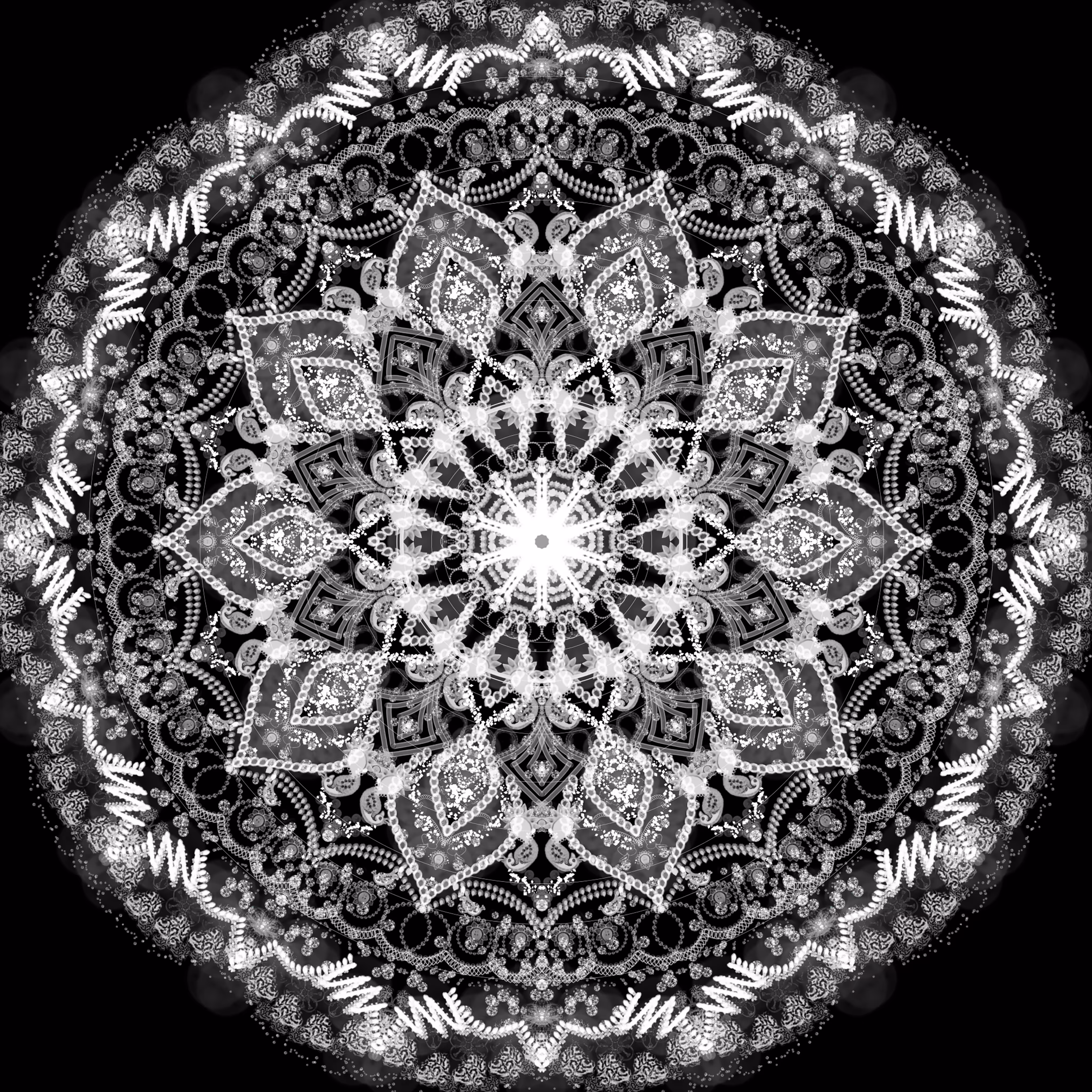 "Artsy Monochrome Serenade"