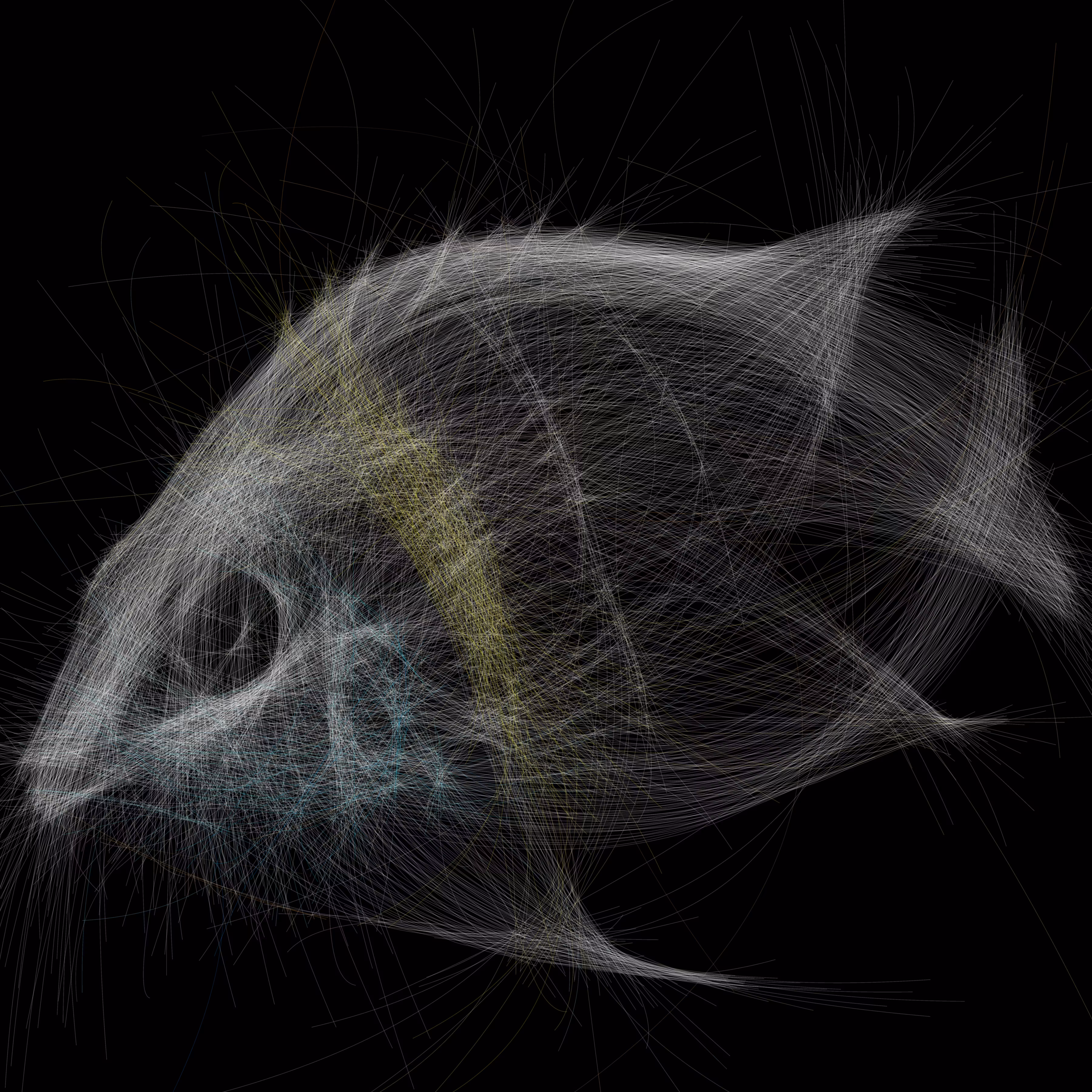 Underwater 154