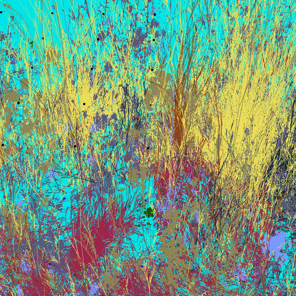 Infinite Garden: 123142 Flowers