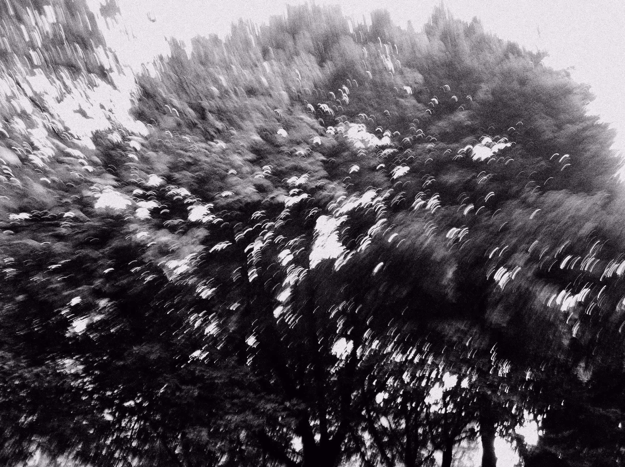 impermanence