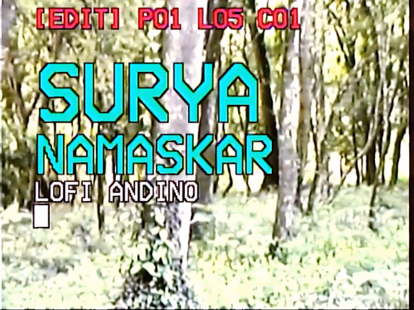 Surya Namaskar - Sy
