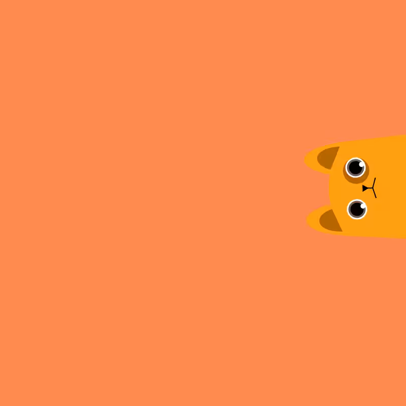 Where is the cat? #28